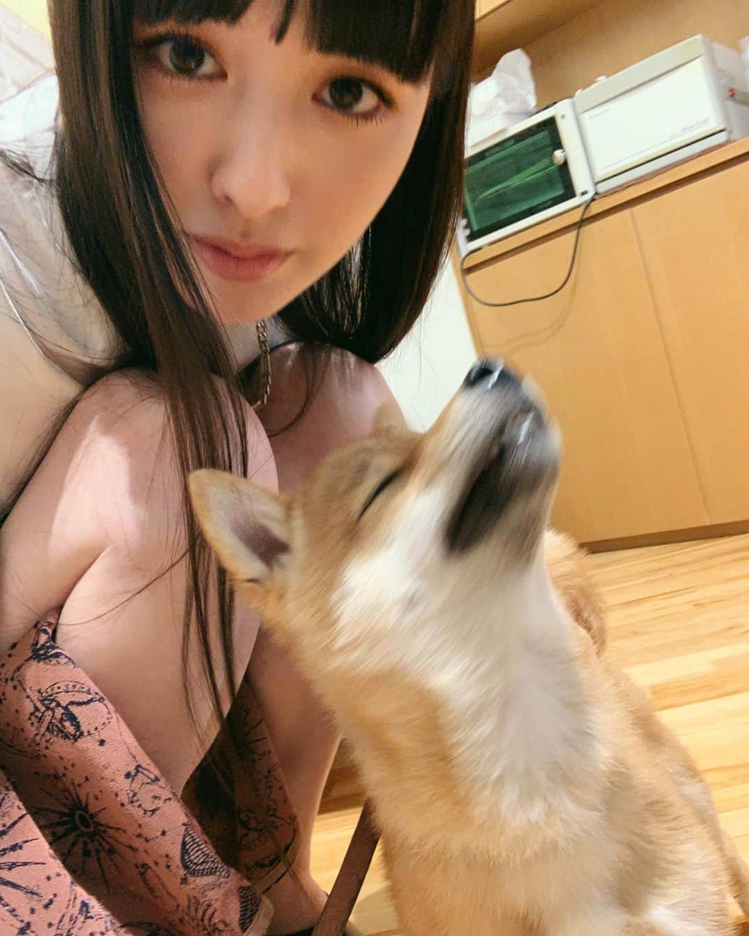 鈴木えみさんのインスタグラム写真 - (鈴木えみInstagram)「豆蔵かわいいよ〜豆蔵〜🐕🥺💞」5月8日 10時43分 - emisuzuki_official