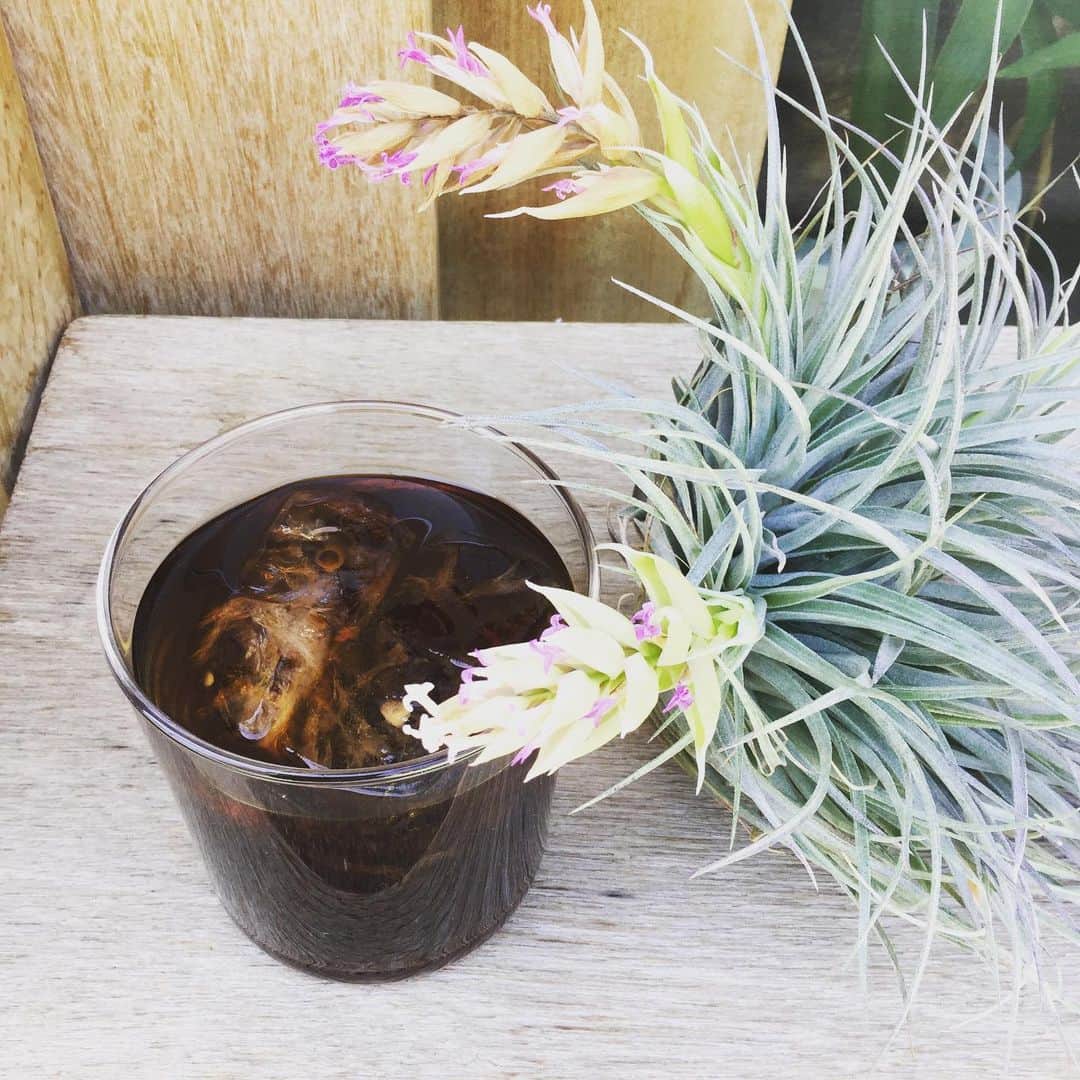 HeyCoffeeのグルメインスタ