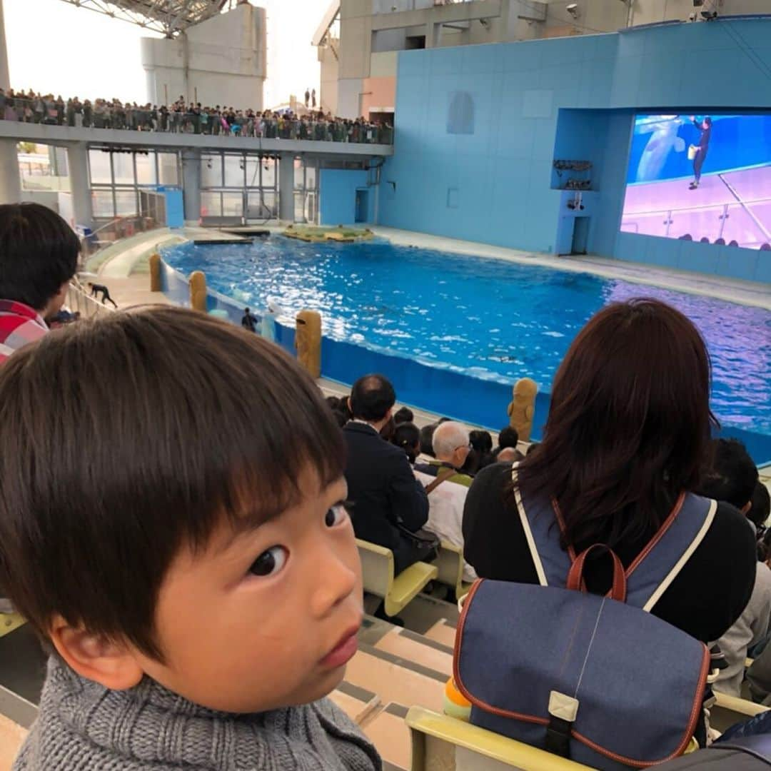 小林真樹子さんのインスタグラム写真 - (小林真樹子Instagram)「🌈2019 GW 🐠🎠 子どもだけお休みの夏休みと 夫も休みで家族みんなで休めるのはこんなにも違うのかと思った今年のGW。 . 片付けと断捨離をバリバリする予定が… 家ではのんびり過ごし 外遊びでは日帰りであちこち出かけ あっという間の10日間でした😝 . 我が家のGWスタートは 水族館に行きたい！と八景島シーパラダイスに。 水族館以外にもアトラクションもあって乗り物も満喫✨ 夫は花火が終わる頃、ブルーフォールに乗り込みました。もう乗らないそうです。笑。 混みすぎてない感じが良かった！また行こう🚃 . #親子でおでかけ #八景島シーパラダイス #フリーパスなしでも充分楽しめたかも #ショーで席を空けてくれたご家族に感謝 #4歳 #4ヶ月baby #2人育児 #男の子ママ」5月8日 22時08分 - makikokobayashi.n