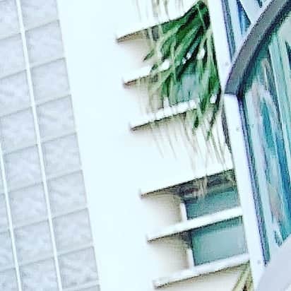 高岡薫のインスタグラム：「明日載せる写真の一部です！！ ちょっとフィルター加工しちゃったぜ わかるかな〜？」