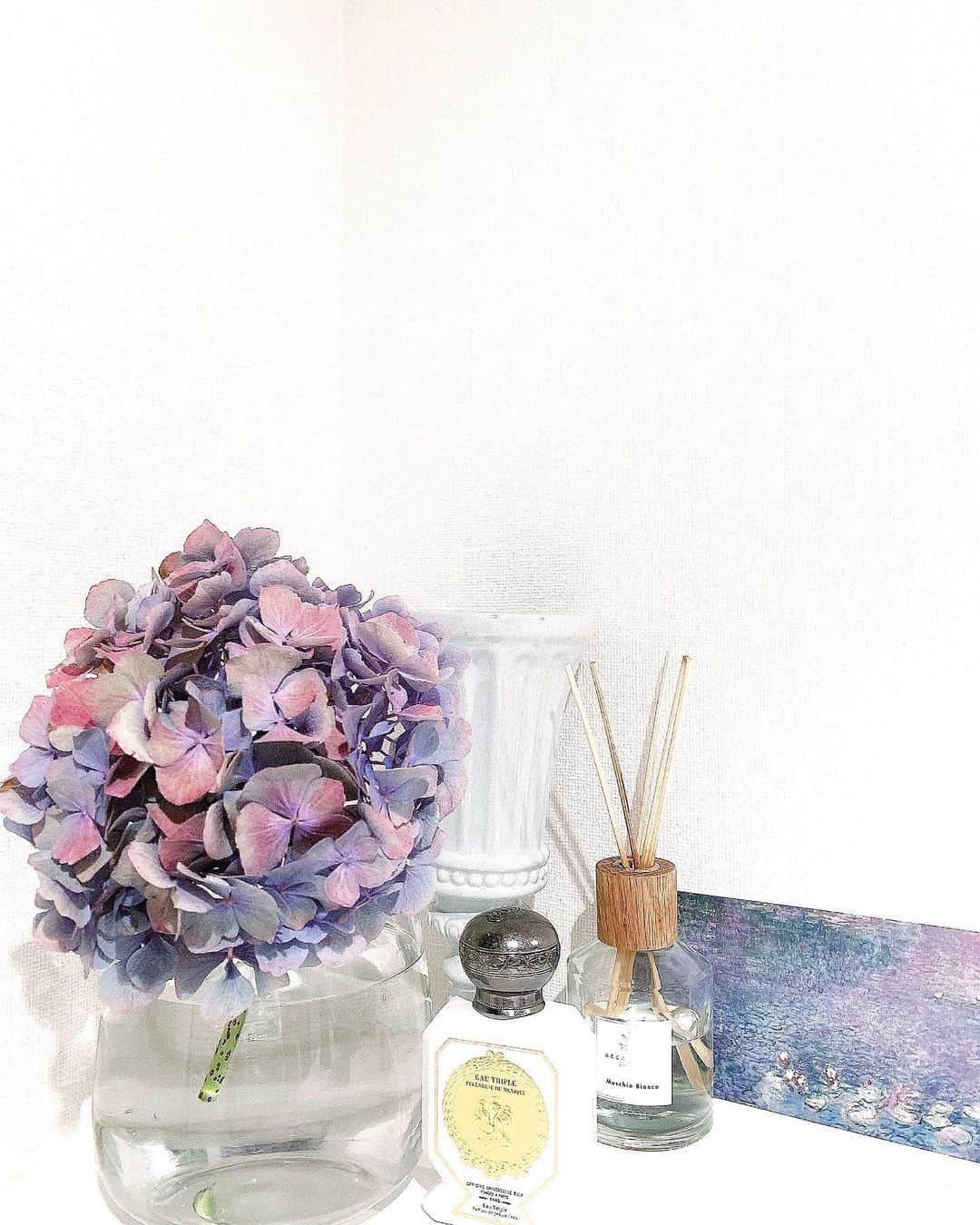 明松美玖さんのインスタグラム写真 - (明松美玖Instagram)「、 favoぎゅ💐 この紫陽花と香水とディフューザーぱちぱち💏」5月8日 20時50分 - shashishu_daily
