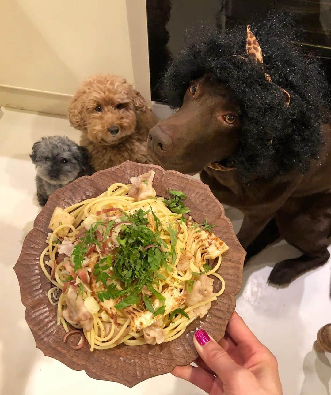 masakiさんのインスタグラム写真 - (masakiInstagram)「Wed.8 May.2019 はれ 晩ごはんは筍と豚肉のパスタ、薬味わっさり。」5月8日 21時29分 - mogurapicassowols