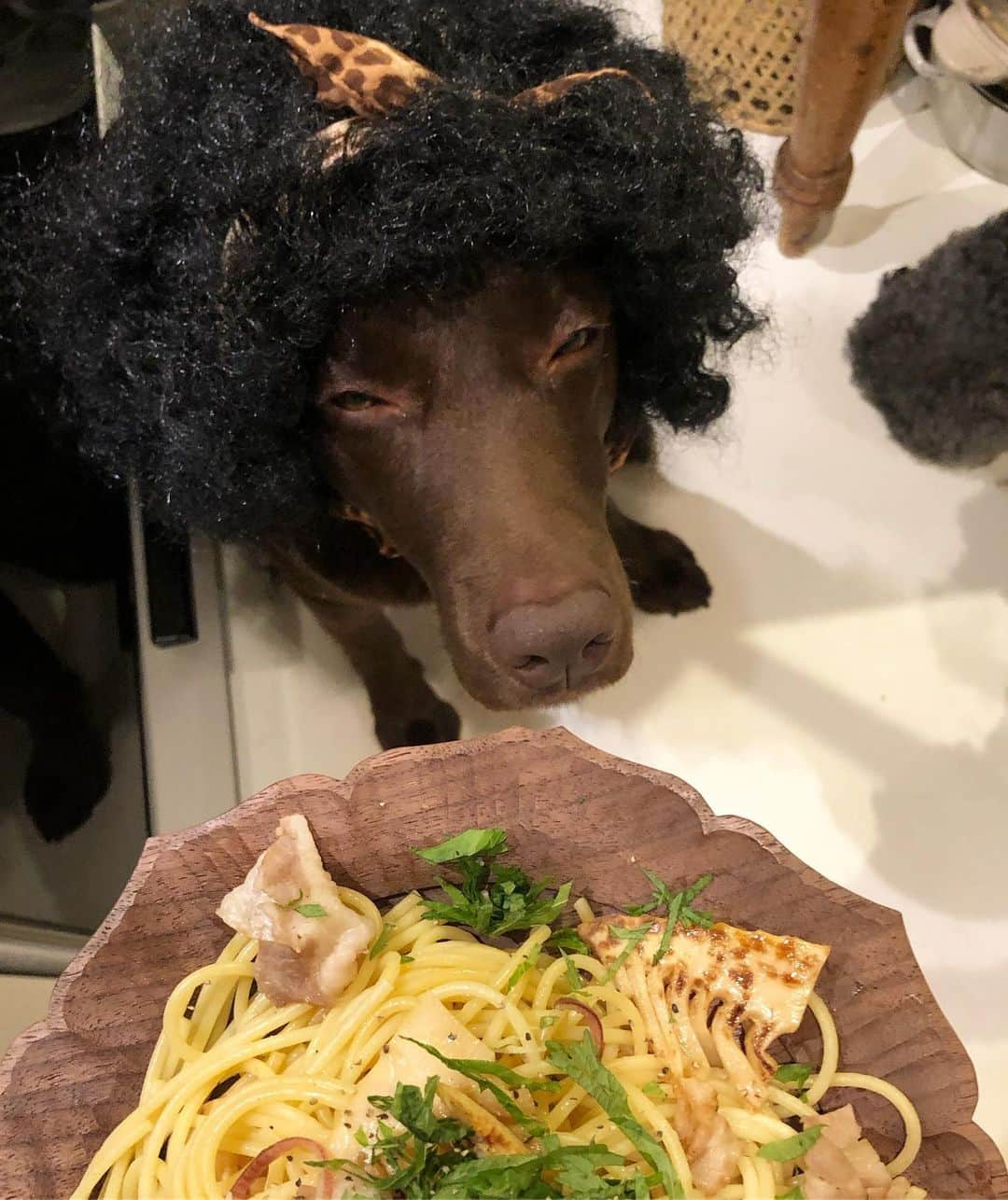 masakiさんのインスタグラム写真 - (masakiInstagram)「Wed.8 May.2019 はれ 晩ごはんは筍と豚肉のパスタ、薬味わっさり。」5月8日 21時29分 - mogurapicassowols