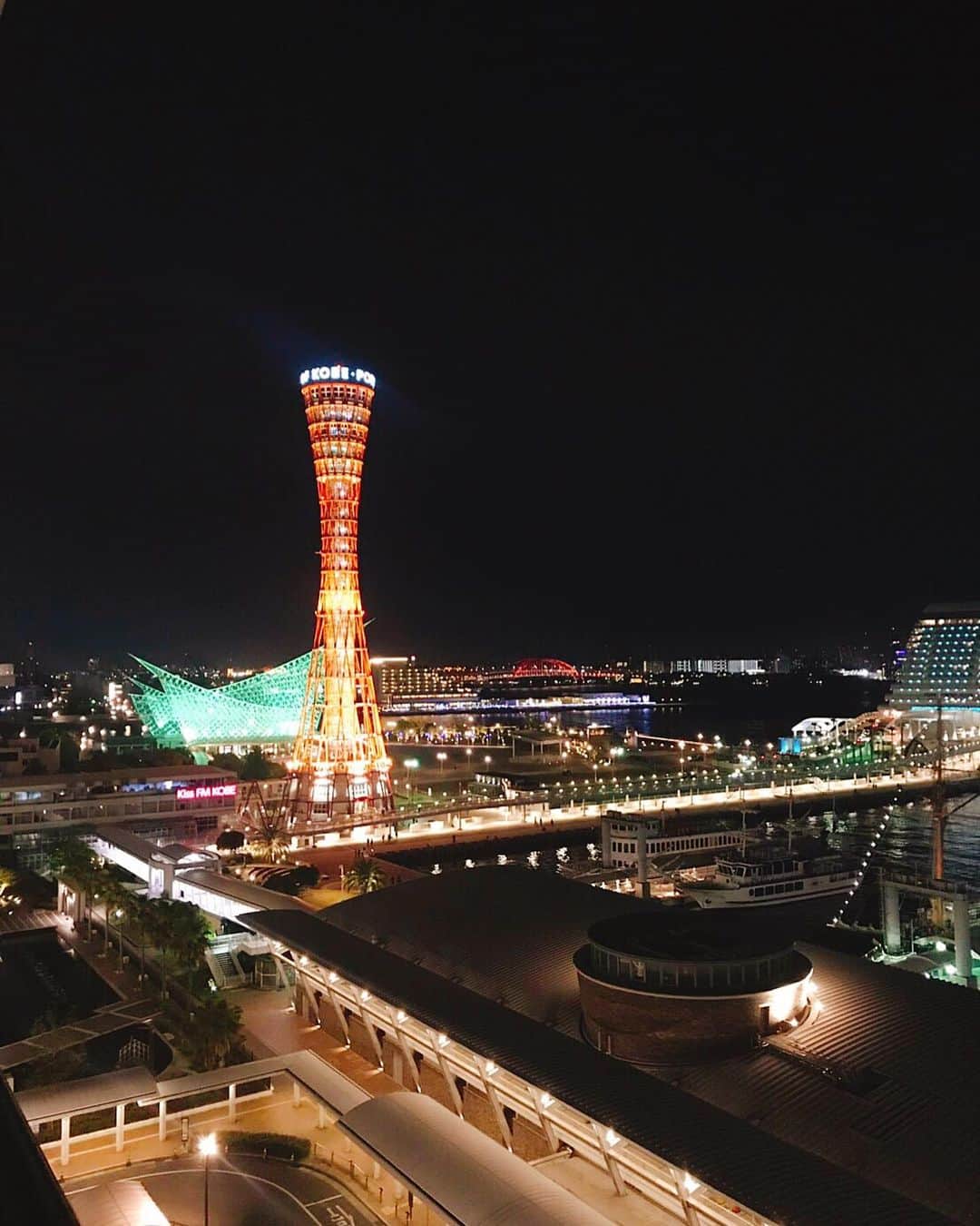 のインスタグラム：「* 今夜のディナーは鉄板焼き。 そしてリクエストの夜景です。 大きな船停泊してます。 どこへ行くのかな？」