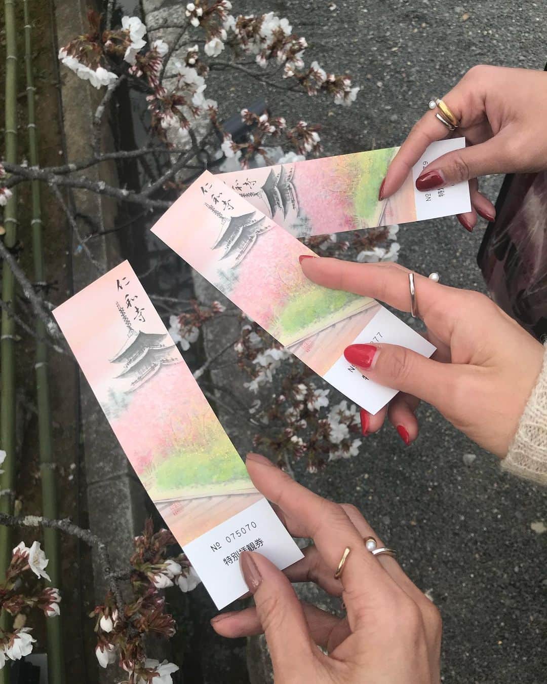 大日方久美子さんのインスタグラム写真 - (大日方久美子Instagram)「・ ロウを迎えに行く前日のこと。  打ち合わせに向かった京都では 桜が綺麗な時期に来てみたかった念願の @izama_kyoto へ。  期待を裏切らない最高にステキな空間で お重のランチとアイスモナカを堪能し、人混みを避けて仁和寺の桜を見ていた時は、この後ロウに出会うなんて思ってもいなかった。  また京都に行ったら行きたい場所 @izama_kyoto ご馳走さまでした❤️ ・ ・ #自分メモ #京都 #居様」5月8日 13時41分 - kumi511976