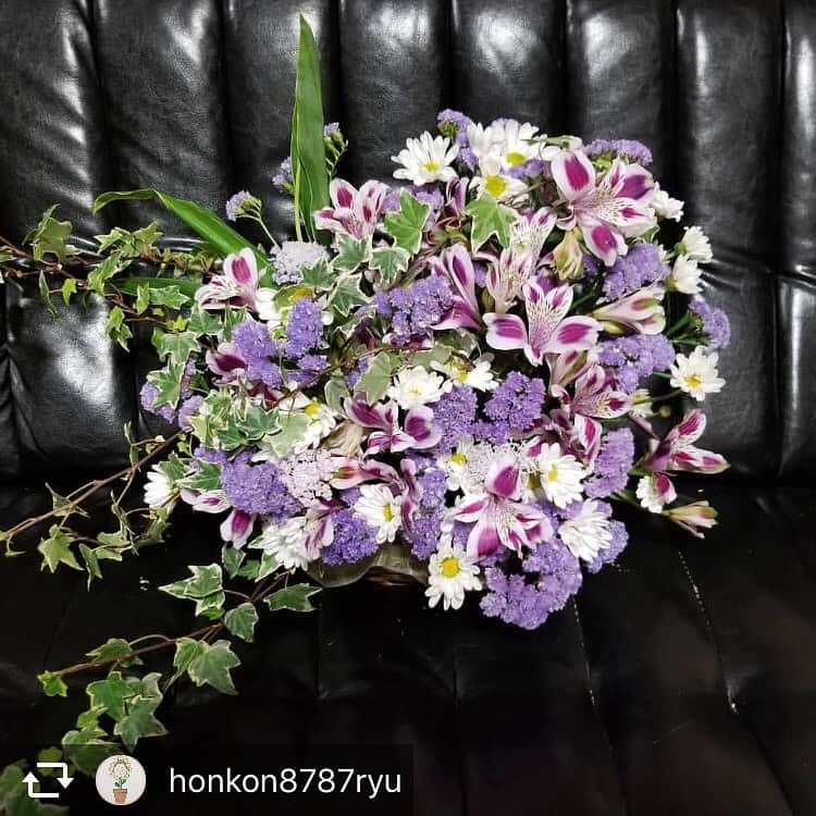 ほんこんさんのインスタグラム写真 - (ほんこんInstagram)「onkon8787ryu #ほんこんの花屋さんbloom  #お笑い芸人 #ほんこんさん #花屋  #花 #Flower  #祝い花 #アレンジ #母の日 #ほんこん #海蔵kaizou  こんにちは。 ほんこんの花屋さんbloom 花のお兄さんです。  今日も良いお天気ですねっ☀️ ゴールデンウィークも終わりです。 次は母の日です。 日々お世話になっているお母様へ 何か送りたいと思っている方是非ほんこんの花屋さんbloomにご相談ご注文ください！ お花の事全て承ります。  ほんこんの花屋さんbloom  mail honkon878@gmail.com TEL 080-7975-4314」5月8日 13時44分 - hongkong2015_4_9