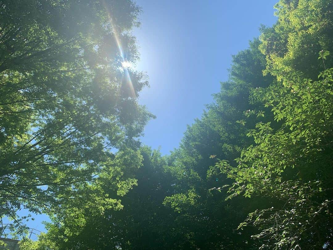 中村優さんのインスタグラム写真 - (中村優Instagram)「今日の天気は気持ち良すぎ🌿🌞🌿」5月8日 13時55分 - nkmr_yu