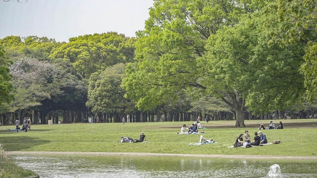 ジンソクさんのインスタグラム写真 - (ジンソクInstagram)「代々木公園 #yoyogikoen  #photo」5月8日 14時03分 - jinstar