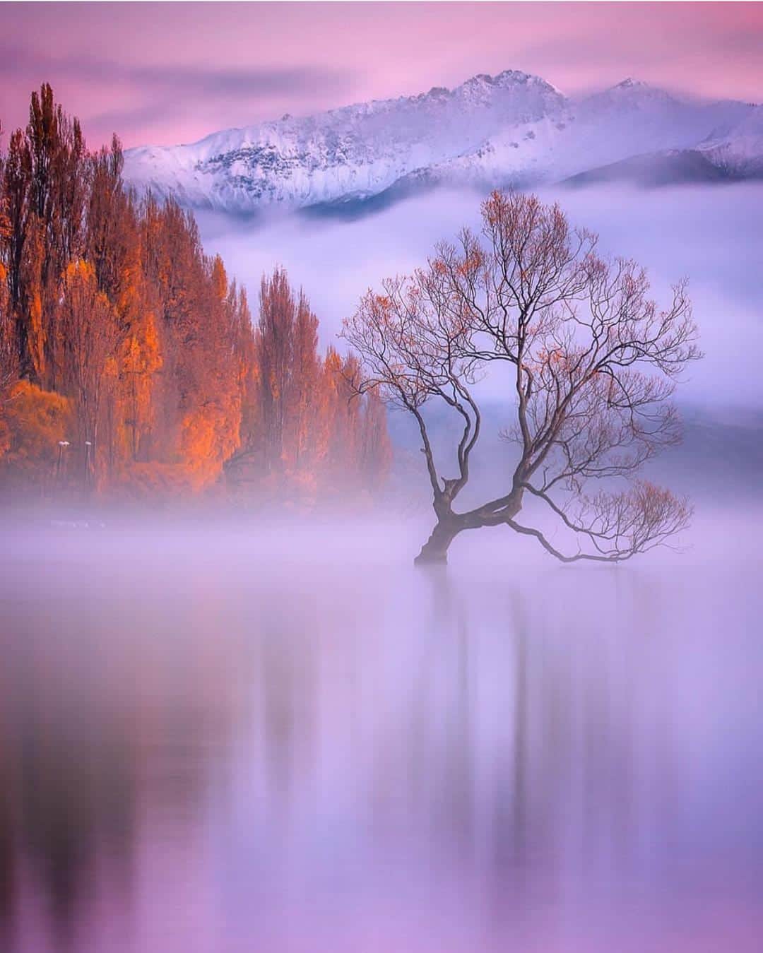 Wonderful Placesさんのインスタグラム写真 - (Wonderful PlacesInstagram)「Lake Wanaka - New Zealand ✨💜💜💜✨ . Picture by ✨✨@rachstewartnz✨✨ #wonderful_places for a feature 💜」5月8日 14時58分 - wonderful_places