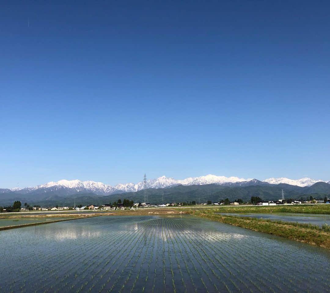 山本左近さんのインスタグラム写真 - (山本左近Instagram)「本当に素晴らしい立山連峰。  地元の方から、こんなに綺麗に見える日は本当に珍しい。良いことありますよっと。 この景色を肉眼で見れたことに感謝。  頑張ります！！ #富山 #立山連峰」5月8日 16時21分 - sakon_yamamoto