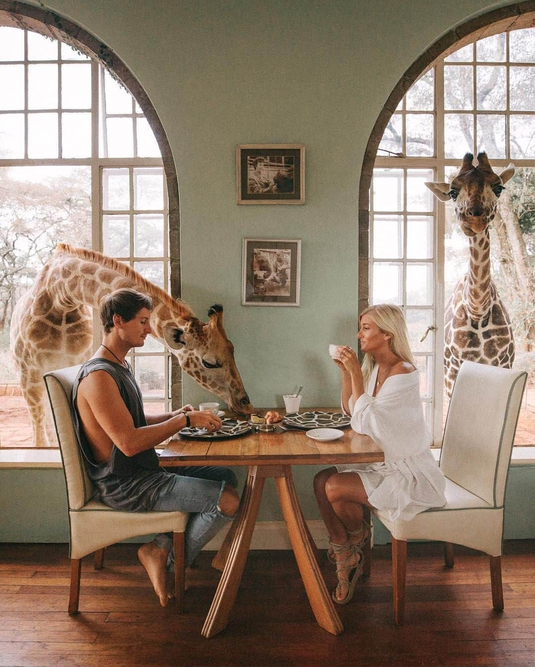 Kapten & Sonさんのインスタグラム写真 - (Kapten & SonInstagram)「'People don’t take trips – trips take people.' ✨👫@doyoutravel found the perfect breakfast spot with some new friends!🦒 #bekapten #kaptenandson⠀ .⠀ .⠀ .⠀ #adventure #giraffes #breakfastgoals #travelgram #travelgoals #traveladdicted #travellers #africa #couple #couplegoals」5月8日 16時45分 - kaptenandson