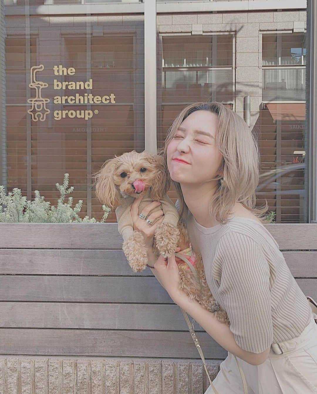 前山奈津巴さんのインスタグラム写真 - (前山奈津巴Instagram)「🐕👱🏻‍♀️💓💓 . . #犬のいる暮らし #休日の過ごし方 #三枚目のつみきはトリミングしたバージョン #愛犬 #マルプー #うちのつみきちゃん」5月8日 22時16分 - natsuha_maeyama