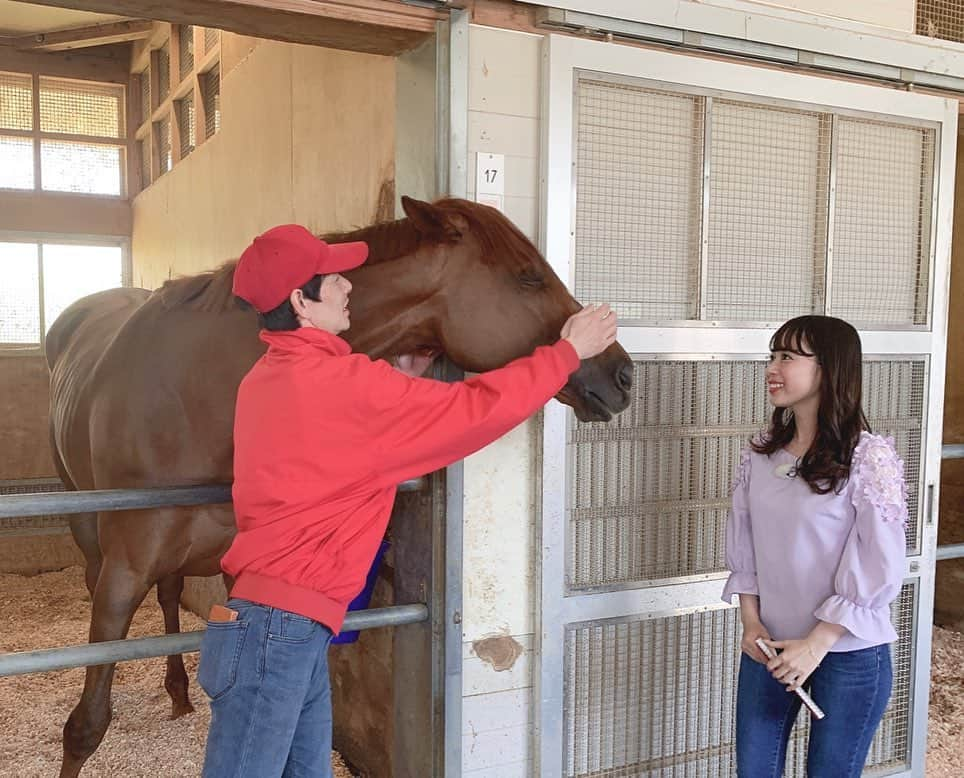 國嶋絢香さんのインスタグラム写真 - (國嶋絢香Instagram)「‪「やべぇ馬」ことラッキーライラック🐴に昨年の桜花賞以来、約1年振りに会ってきました💜💜‬ ‪古馬になり、すっかり大人になった彼女✨‬ 身長も高くなって、馬体もかなり大きくなっていました✌🏽 . ‪ラニを担当し、アメリカ人から “crazy rider” と呼ばれた男こと丸内さん(笑)のお話も久しぶりに聞けて嬉しかったですし、改めてとっても勉強になりました🎶‬ . ‪この写真、みんな正面向いててなんか面白い（笑） . ‪2枚目は、馬ってじっとしてないから皆が揃った写真を撮るのって難しいんですが、この( ˘ω˘)ｽﾔｧって顔もたまらん可愛いから載せてみた💞お疲れのところありがとう💞 ‪この後たっぷり鼻息かけてもらったよ☺️‬ ‪あったかかったなぁ☺️☀️‬ . #1年振りのやべぇ馬とcrazyriderコンビ  #会えて嬉しかった  #丸内さん節がたまらなく好き #もっと聞いてたかったなぁ #今週の放送もお楽しみに✨ #服はライラックカラーを意識してみました😜」5月8日 17時37分 - ayakakunishima