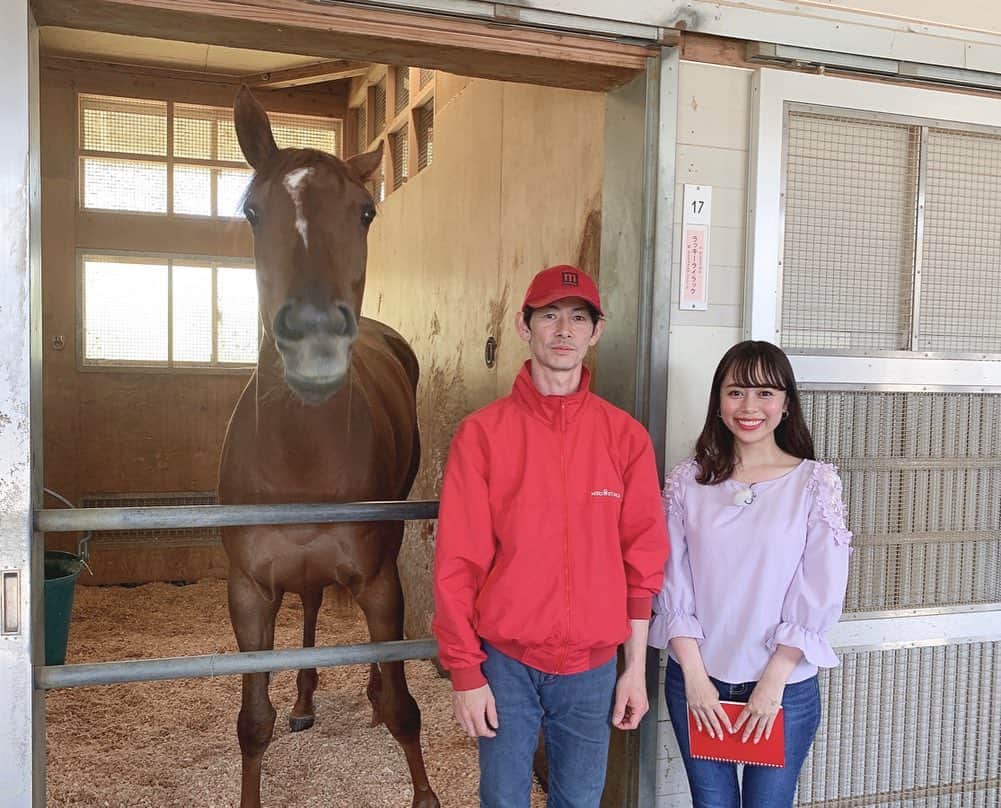 國嶋絢香のインスタグラム：「‪「やべぇ馬」ことラッキーライラック🐴に昨年の桜花賞以来、約1年振りに会ってきました💜💜‬ ‪古馬になり、すっかり大人になった彼女✨‬ 身長も高くなって、馬体もかなり大きくなっていました✌🏽 . ‪ラニを担当し、アメリカ人から “crazy rider” と呼ばれた男こと丸内さん(笑)のお話も久しぶりに聞けて嬉しかったですし、改めてとっても勉強になりました🎶‬ . ‪この写真、みんな正面向いててなんか面白い（笑） . ‪2枚目は、馬ってじっとしてないから皆が揃った写真を撮るのって難しいんですが、この( ˘ω˘)ｽﾔｧって顔もたまらん可愛いから載せてみた💞お疲れのところありがとう💞 ‪この後たっぷり鼻息かけてもらったよ☺️‬ ‪あったかかったなぁ☺️☀️‬ . #1年振りのやべぇ馬とcrazyriderコンビ  #会えて嬉しかった  #丸内さん節がたまらなく好き #もっと聞いてたかったなぁ #今週の放送もお楽しみに✨ #服はライラックカラーを意識してみました😜」