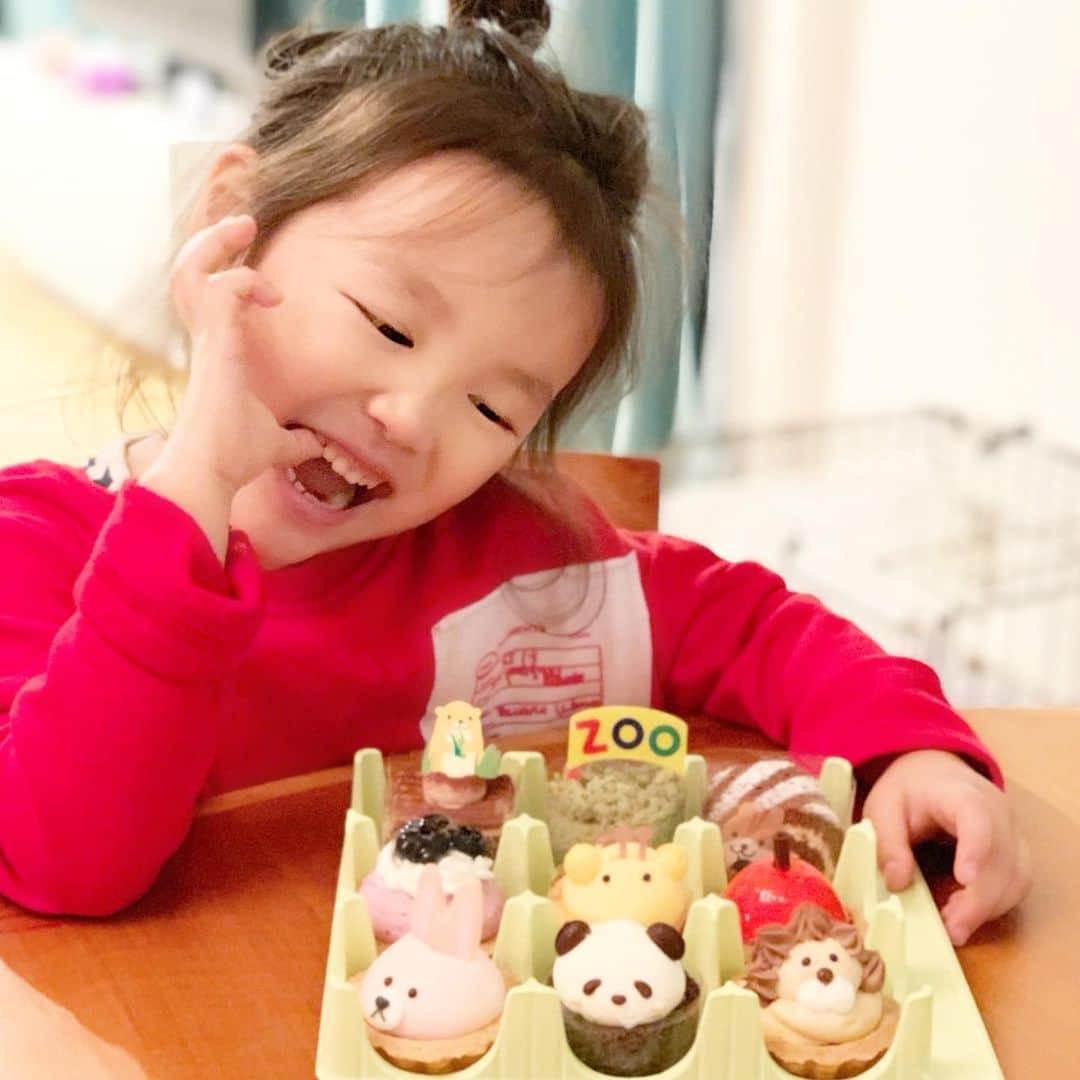 内藤陽子のインスタグラム：「最近、語学学校と保育園での英語の時間が増えて、動物をたくさん覚えたので、ZOO Cupcakes🧁 #ニコ #がんばれニコ #母もがんばる #幸せ時間」