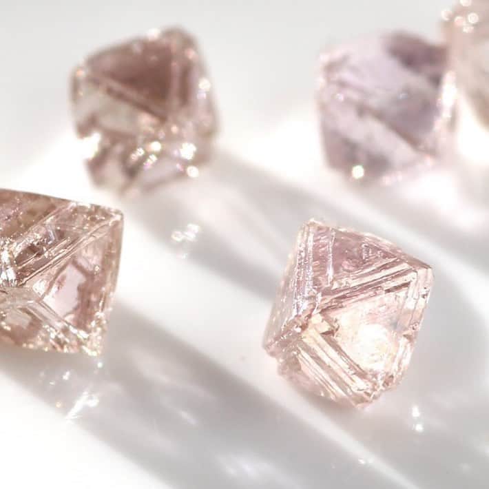 BIZOUX BRIDAL | ビズーブライダルのインスタグラム：「. カラーダイヤモンドの女王ともいわれている「ピンクダイヤモンド」。トーンは柔らかなのに、はっきりと感じられるピンク色は、まるで日差しを受けてきらめく桜の花のようです。 . そんなダイヤモンドの原石は、何億年もの時間をかけて少しずつ形成されていきます。 原石ができる条件は、高温で高圧な火山の元であること。そして火山活動が活発になり、マグマと一緒に一気に地表付近まで押し上げられることによって、ダイヤモンドとなっていきます。この時に、ゆっくりとしたスピードだと違う鉱物になってしまうのです。 . そんな偶然のような条件が揃って、私たちのもとへ届けられるダイヤモンド。私たちが求めているピンクダイヤモンドは、その中からさらに100万粒に1粒という奇跡の宝石なのです。 . 何億年もの時を越えたダイヤモンドに想いをはせると、より宝石が愛おしく感じます。 . . #bizoux #ビズー #bizouxbridal #ビズーブライダル #結婚指輪 #マリッジリング #marriagering #エンゲージリング #婚約指輪 #engagementring #ブライダル #bridal #ダイヤモンド #ピンクダイヤ #ピンクダイヤモンド #原石 #diamond #pinkdiamond #プロポーズ #サプライズ #婚約 #結婚 #プレ花嫁 #花嫁 #結婚準備 #花嫁準備 #プレ花嫁さんと繋がりたい」