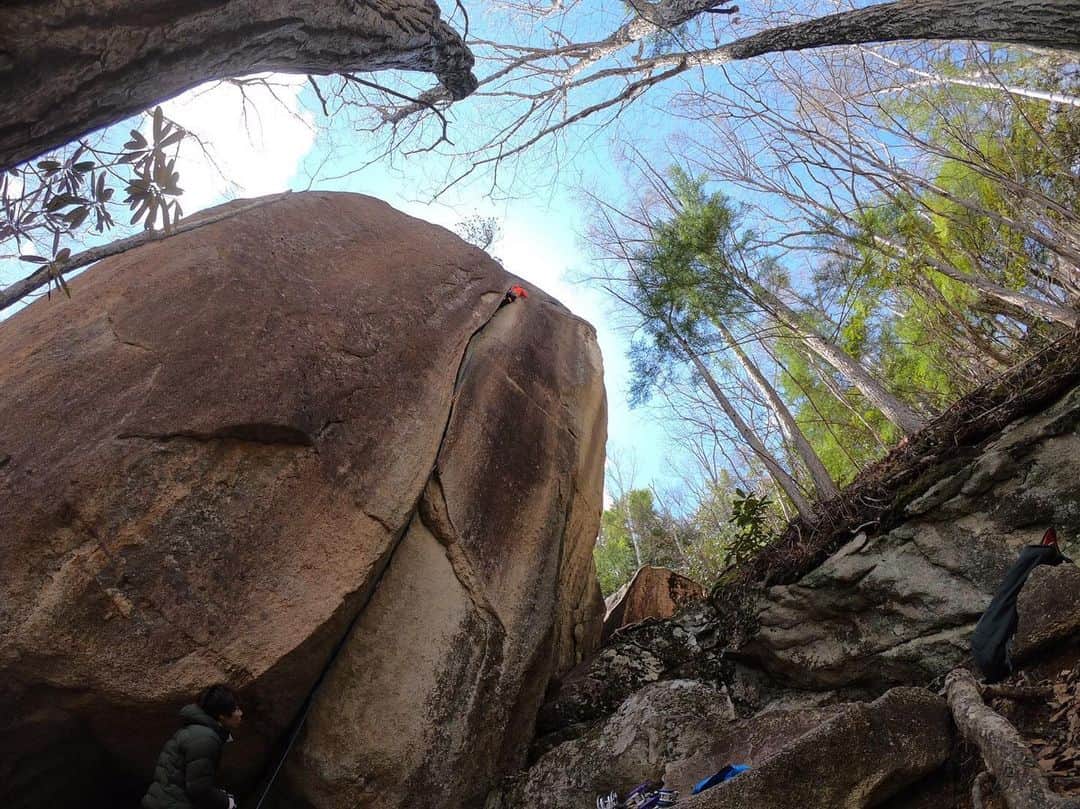 のインスタグラム：「Crazy Jam 5.10d at Mt. Ogawa FA by Hiroshi Yoshikawa in 1981. This line has climbed before I was born. And it is blowing new wind into my mind today. Oh... Climbing is amazing! ・ ゴールデンウィーク後半は小川山でシングルピッチのクラックを登った。小川山レイバックに始まり、カサブランカ、クレイジージャム、イムジン河、そしてバナナクラック。全てオンサイトすることができた。写真のクレイジージャムは1981年に吉川弘さんによって初登された。僕が生まれる前に登られたルートが、こうして僕の中に新鮮な風を吹かせている。クライミングって素晴らしい！ Photo by @hide9a2019  @adidasterrex @petzl_official @fiveten_official  #ogawayama #tradclimbing #crazyjam」