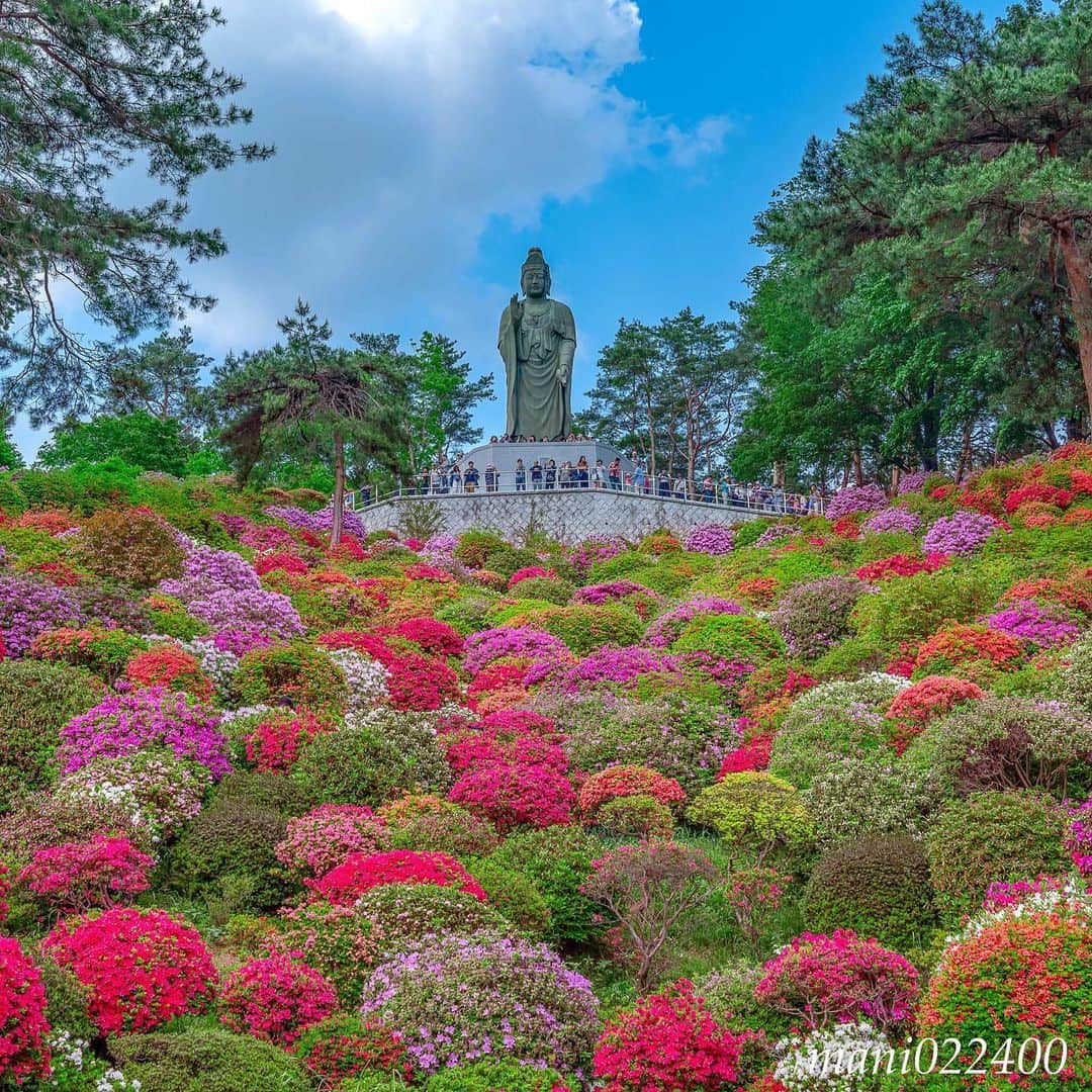 mani022400のグルメインスタ
