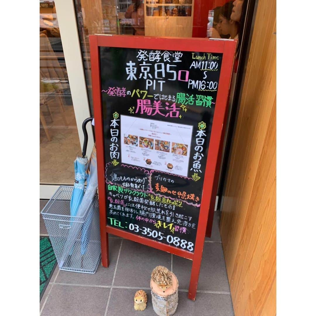 西谷綾子さんのインスタグラム写真 - (西谷綾子Instagram)「✴︎ 日本が世界に誇るものに「発酵文化」があります🤗 ・ 醤油に味噌、味醂に納豆、日本酒に鰹節などなど🌟 ・ たとえば今日のお昼ご飯で、昨夜の晩ご飯で、 古より私たちの健康と長寿を支えてくれた伝統的な発酵食品を使ったメニューが、どのくらいありましたか？☺️ ・ 発酵食品を気軽に食べられる場所😋🍽 ・ 詳しくは…📝 日刊ゲンダイ♡毎週水曜日 「カラダを変える‼︎健康レストラン」 ・ #赤坂 #発酵食堂 #発酵 #東京850pit #赤坂  #十六穀米 #酵素玄米 #乳酸菌 #食 #健康 #美 #腸活 #腸美活  #lunch #foodstagram #food」5月8日 18時43分 - ayako.nishitani