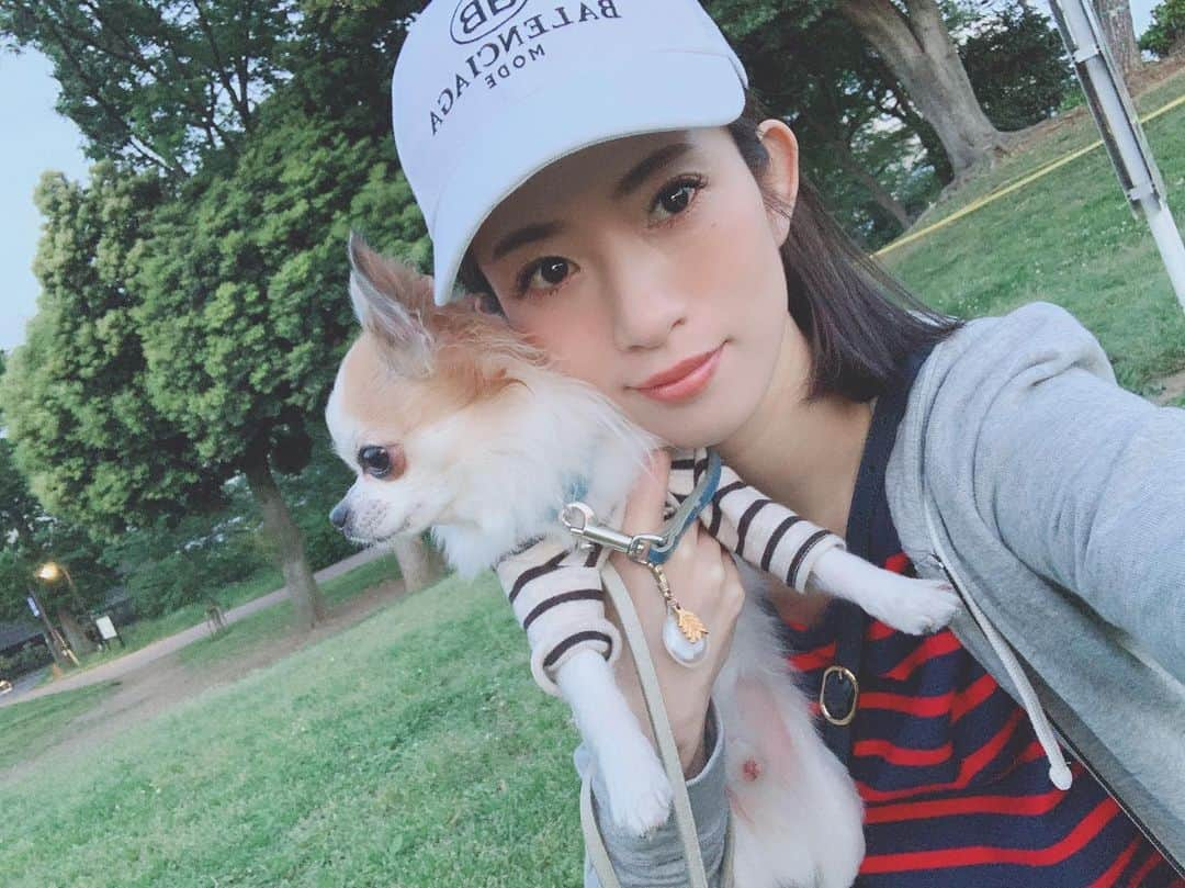 柳めぐみさんのインスタグラム写真 - (柳めぐみInstagram)「. . 明日チョロは狂犬病の注射だから💉今日は思い切り公園で遊んだ🌳 . #愛犬 #公園 #お散歩」5月8日 18時53分 - yanameguchan