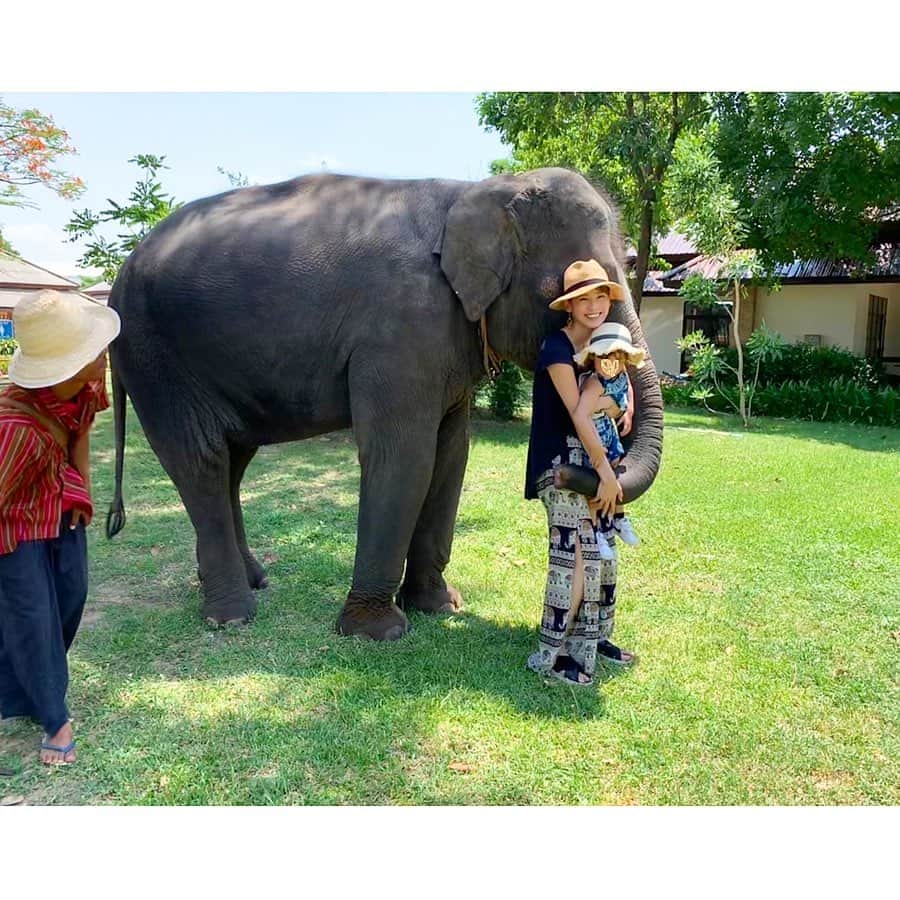 中村明花さんのインスタグラム写真 - (中村明花Instagram)「. 先日、ブリーラム から車で1時間くらいで行ける象の街〝スリン〟に行ってきました☺︎﻿ ﻿ 象はタイでは神聖な動物としてとても大切にされています🐘🌿﻿ ﻿ 小さい赤ちゃん象から大きな象まで。﻿ 普通に歩く道に象が居てびっくり。こんな近距離で象に会うのは初めての体験でした。﻿ ﻿ 動物好きの娘はもう大興奮！﻿ 「触っていい？ねぇ、触っていい？？」と象さんに触りたくてしょうがない様子👧🏻﻿ ぐいぐい行くので見てるこっちがヒヤヒヤでした(⌒-⌒; )﻿ ﻿ たくさんご飯をあげたり、お鼻で持ち上げてくれたり、背中に乗ってお散歩も♡﻿ 象さん楽しませてくれてありがとー！﻿ ﻿ 娘の笑顔見たさと象さんに会いにまた絶対行こ❁❁❁﻿ ﻿ ﻿ #娘も私も象さん柄のタイファッション #タイパンツ涼しいの #じぃじとばぁばとお出かけした時の思い出 #次はパパと行こうね﻿ #ゾウと人との深いつながりを感じた日﻿ #タイ #タイ生活 #タイ在住 #ブリーラム #スリン #海外暮らし #Thailand #buriram #Surin #細貝家のタイ生活」5月8日 18時55分 - sayaka_nakamura3