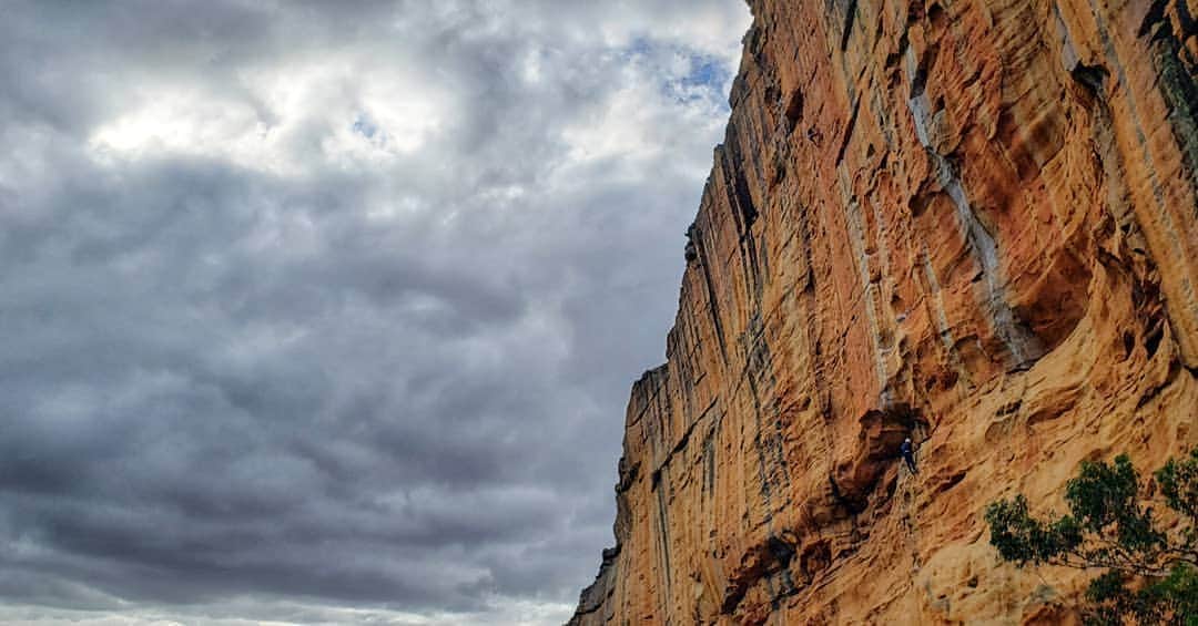 ペイジー・クラッセンのインスタグラム：「The Taipan Wall is everything I dreamed it would be. It's like the New River Gorge and Waterval Boven and Fontainebleau became one in an intergalactic collision whose remnants landed in Australia amidst a field of kangaroos. For the last 8 years, this place has been at the tippy top of my dream list. Loving it. Also jet lag is real and I could have taken a nap in the middle of any of my climbs today, except I was way too pumped and the moves were too hard for napping. And I'm only writing this post because @arjandekock is making me stay up until 10. But I say 8 is the new 10 so, goodnight.」