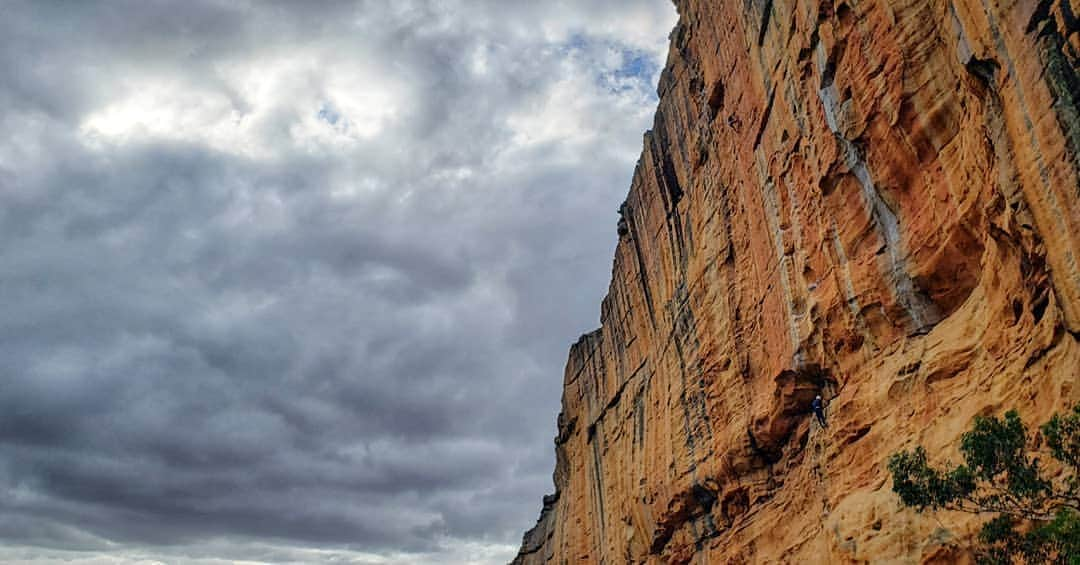 ペイジー・クラッセンさんのインスタグラム写真 - (ペイジー・クラッセンInstagram)「The Taipan Wall is everything I dreamed it would be. It's like the New River Gorge and Waterval Boven and Fontainebleau became one in an intergalactic collision whose remnants landed in Australia amidst a field of kangaroos. For the last 8 years, this place has been at the tippy top of my dream list. Loving it. Also jet lag is real and I could have taken a nap in the middle of any of my climbs today, except I was way too pumped and the moves were too hard for napping. And I'm only writing this post because @arjandekock is making me stay up until 10. But I say 8 is the new 10 so, goodnight.」5月8日 19時07分 - paigeclaassen