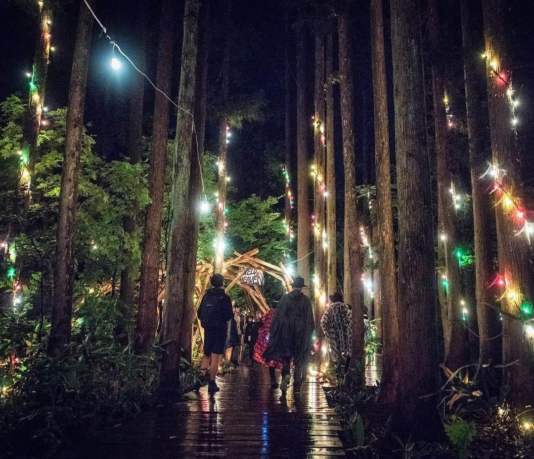 フジロック・フェスティバルさんのインスタグラム写真 - (フジロック・フェスティバルInstagram)「雨上がりの #boardwalk はふしぎな世界に迷い込んでしまったような気分になります🌲🚶🏼‍♀️🚶🏻‍♂️🚶🏼‍♀️✨ . ———————————————————— @fujirock_jp にて、シェアOKの投稿募集中📸  ハッシュタグ #fujirockpost を新規 or 過去の投稿に追加してください。フジロックにまつわる写真や、動画、アート作品などなどお待ちしております♩  #fujirock #fujirockfestival #フジロック」5月8日 19時29分 - fujirock_jp