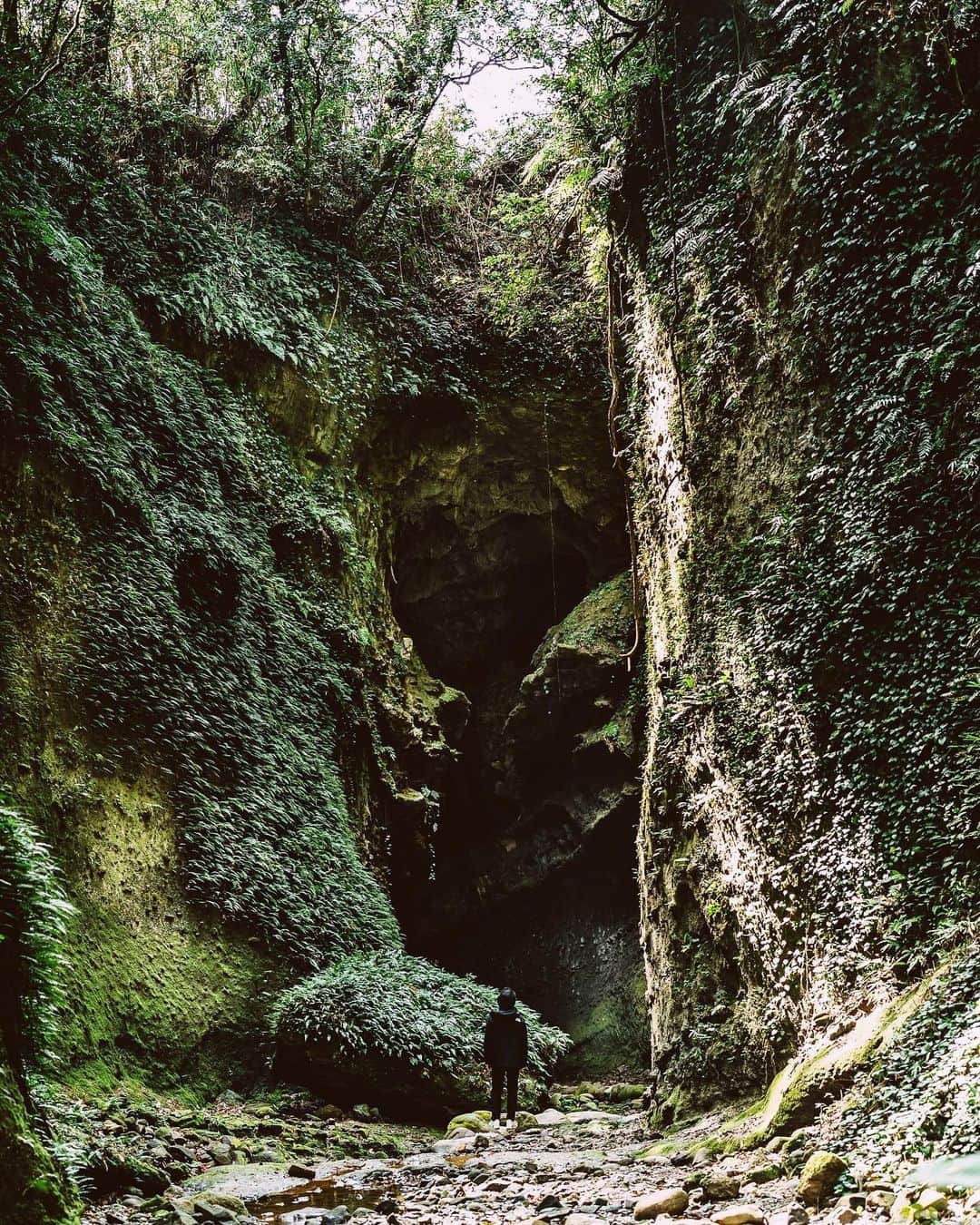 佐藤健寿のグルメインスタ