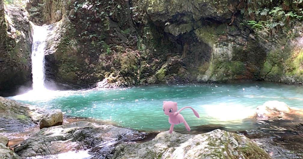 北山由里さんのインスタグラム写真 北山由里instagram トレーナーも踏み込めない秘境で見つけたポケモン達 岐阜県郡上市 釜ヶ滝 Gosnapshot Habitatchallenge Pokemongo ポケモンgo 5月8日 時05分 Yuri Kitayama