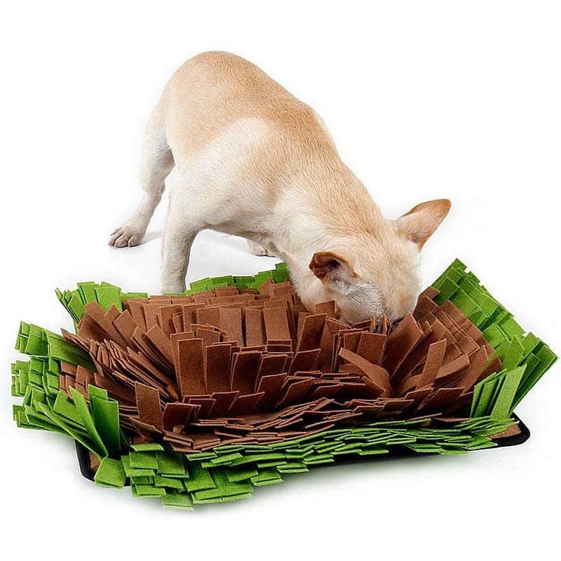 French Bulldogさんのインスタグラム写真 - (French BulldogInstagram)「Keep your French Bulldog occupied for HOURS with this Stress Release Dog Sniffing Mat 👃🐽 The snuffle mat is a toy that provides the dog with an opportunity to sniff and search for hidden treats 🥓🍗🍔🍖🥑🍩 . . . . . #frenchie #frenchieoftheday #französischebulldogge#franskbulldog #frenchbull #frenchbulldog #frenchiepuppy#dog #dogsofinstagram #petstagram #bully #bulldog#bulldogfrances #フレンチブルドッグ #フレンチブルドッグ #フレブル #ワンコ #frenchiesgram#frenchbulldogsofinstagram #ilovemyfrenchie #batpig #buhi#squishyfacecrewbulldog」5月9日 6時06分 - frenchie.world