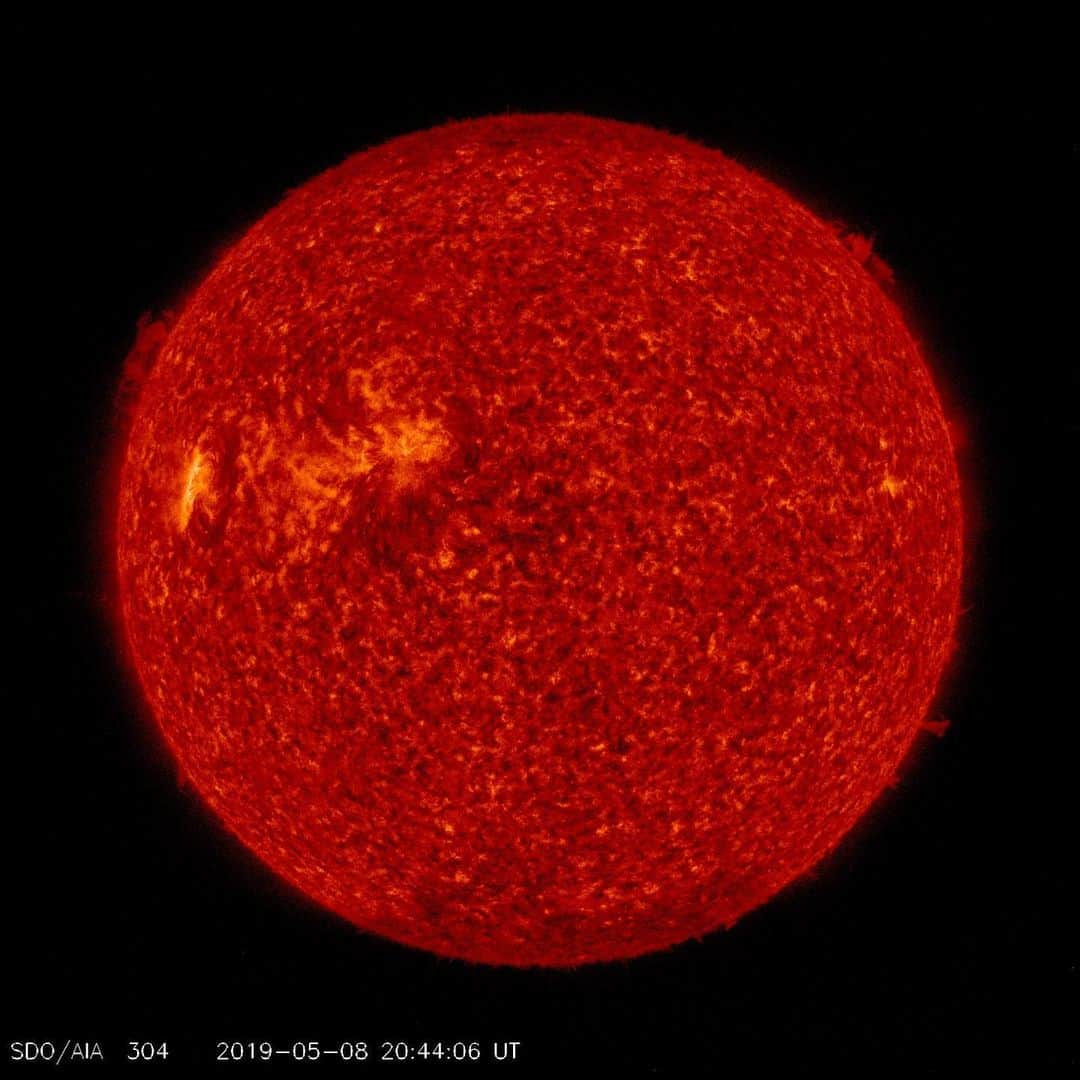 NASAさんのインスタグラム写真 - (NASAInstagram)「It’s lit. 😎⁣ ⁣ The Solar Dynamics Observatory (SDO) provides views of the Sun in detail never before possible. Launched on February 11, 2010, SDO provides ultra high-definition imagery of the Sun in 13 different wavelengths.⁣ ⁣ Each wavelength highlights a specific aspect of the Sun’s atmosphere, from the surface all the way to upper reaches of the corona. ⁣ ⁣ Scroll through these SDO images captured today to see which solar regions were lit!⁣ Find the regional description of your favorite shots below 👇 ⁣ Image Credit: NASA⁣ ⁣ #NASA #Sun #Science #Lit #Star #Details #Solar」5月9日 6時41分 - nasa