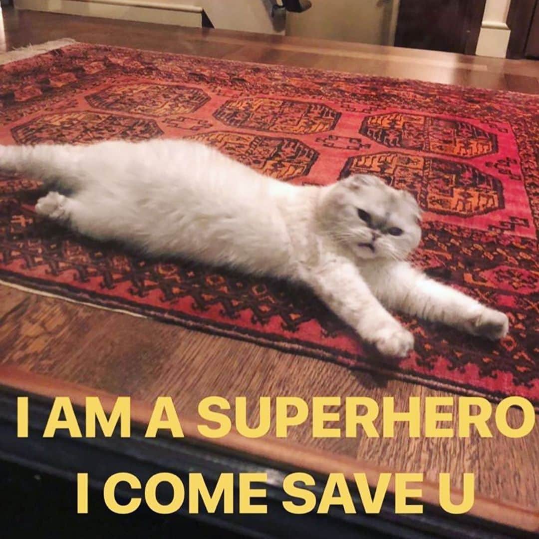 オリビア・ベンソン（テイラースウィフト）さんのインスタグラム写真 - (オリビア・ベンソン（テイラースウィフト）Instagram)「I am a superhero I come save u」5月9日 7時12分 - oliviabswift