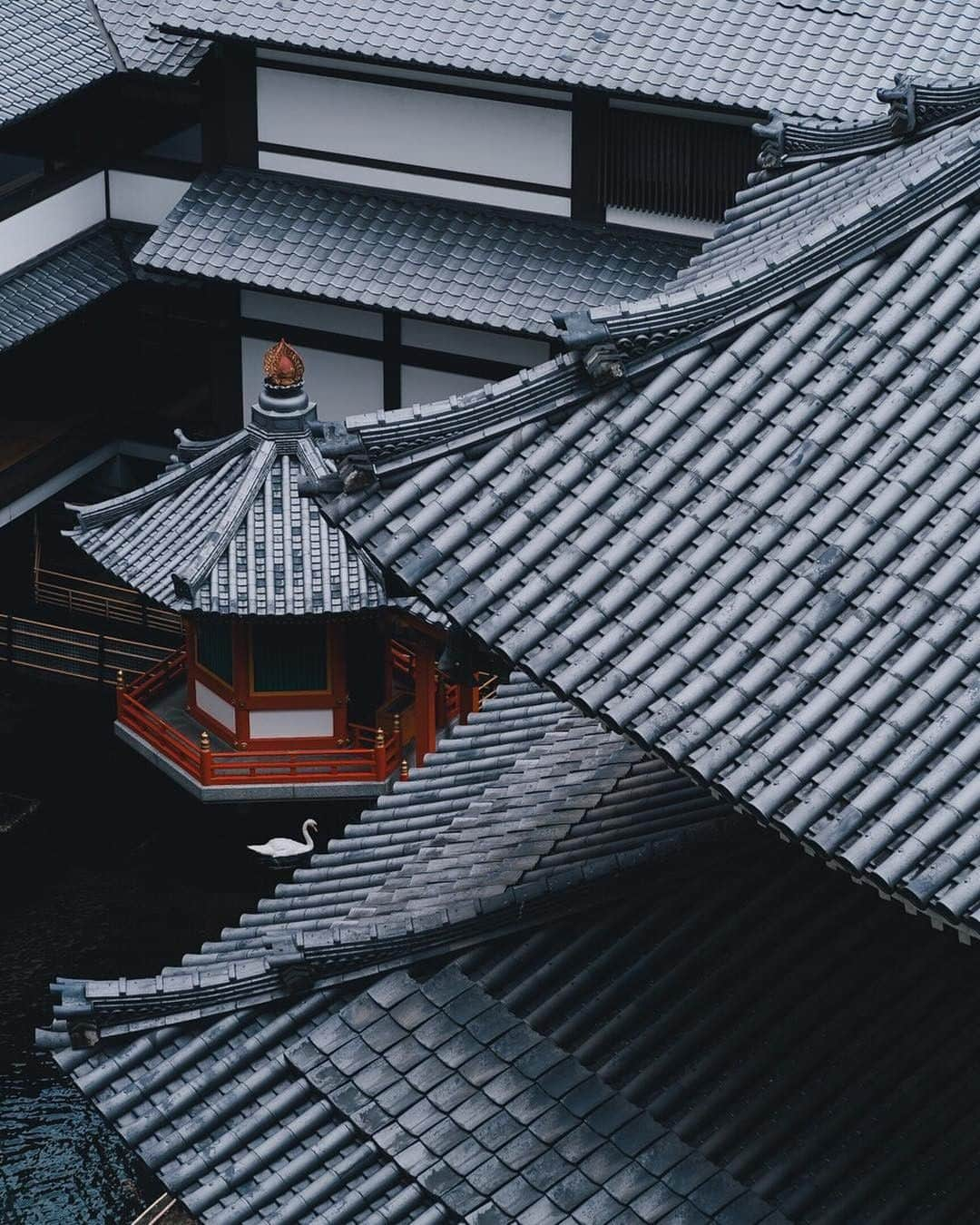 ライカさんのインスタグラム写真 - (ライカInstagram)「A lone swan navigates its way through the traditional Japanese architecture of Kyoto. Nandin Yuan (@nandinyuan) shot this image with the Leica M10 and a 90mm Summarit lens. Discover the Leica M10 for yourself via the bio link.  #LeicaCamera #Leica #🔴📷 #Leicagram #LeicaM10 #TheLeicaLook #LeicaWorld #Leica_Club #LeicaSociety #LeicaPhoto #ShootLeicaPro  #travelphotography #Kyoto #streetphotography #streetphoto #architecturelovers #archilover」5月8日 23時00分 - leica_camera