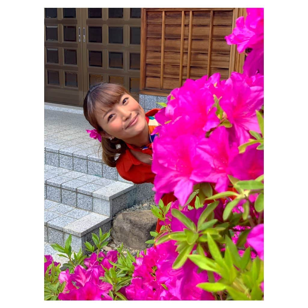 きのせひかるさんのインスタグラム写真 - (きのせひかるInstagram)「#ひょっこりはん #ツツジ #つつじ #躑躅」5月8日 23時00分 - hikarukinose