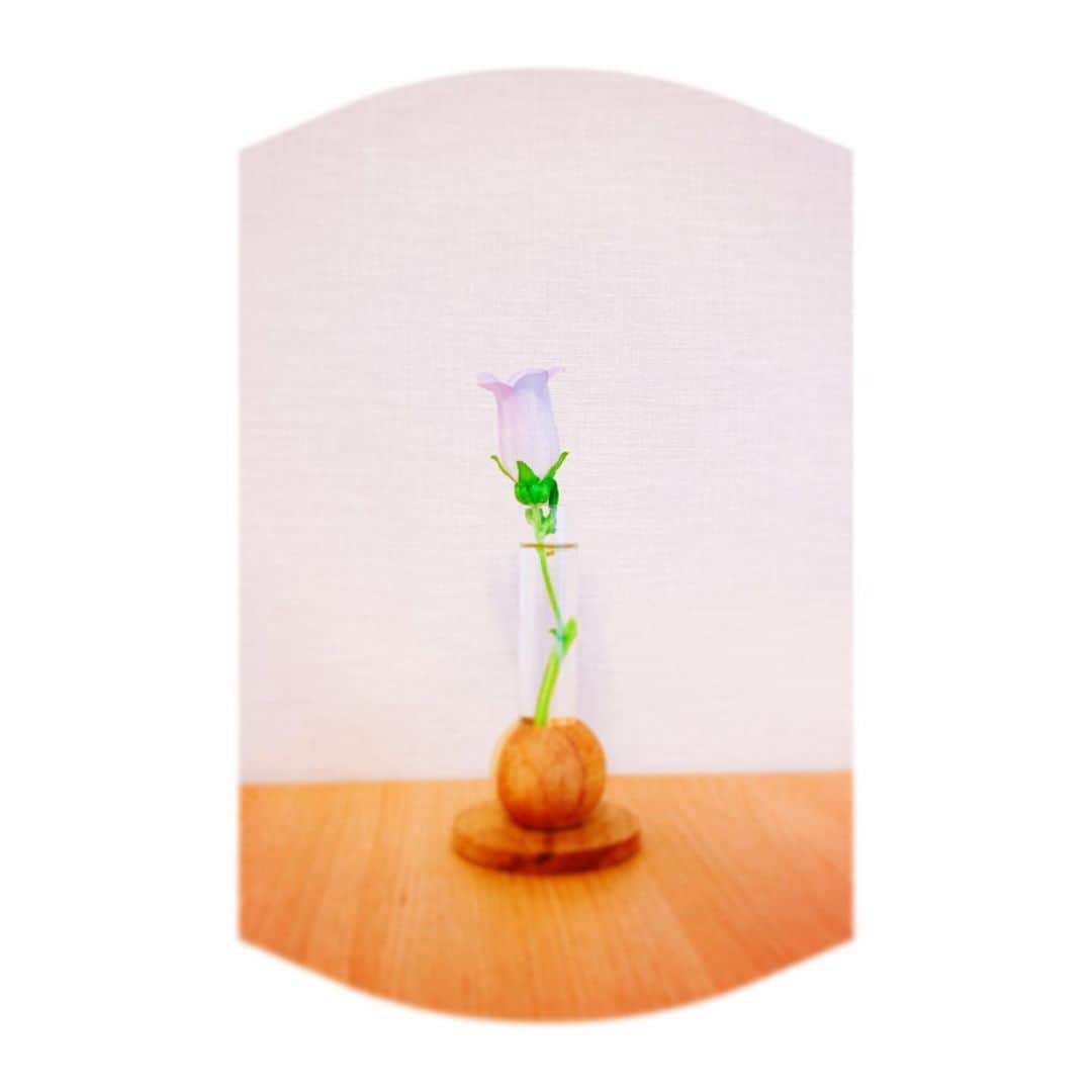 佐藤聡美さんのインスタグラム写真 - (佐藤聡美Instagram)「* * * 気付けば、お誕生日でした…！わたし！ * * 年々「嬉しい」よりも 「ありがとう」の気持ちが募る 誕生日だなと感じております。 * * 覚えていてくれて お祝いしてくれて 本当に、ありがとう。 * * 「素敵な年にしてください。」 というメッセージをたくさん頂きましたが 素敵な年にするためには あなたがいなくっちゃ☺︎ * * ちゅーこって。 これからも、どうぞ よろしくお願いしますね！ * * * 写真は「ベルフラワー」 5月8日の誕生花なんですって。 声の日に相応しいお花ですね。 花言葉も素敵だったので もし興味があれば ご自身の誕生花と合わせて ぜひ調べてみてください🌸 * * * * #誕生日 #いつもありがとう #これからもよろしくね  #5月8日 #声の日  #誕生花 #ベルフラワー #佐藤聡美」5月8日 23時05分 - sugar_me58
