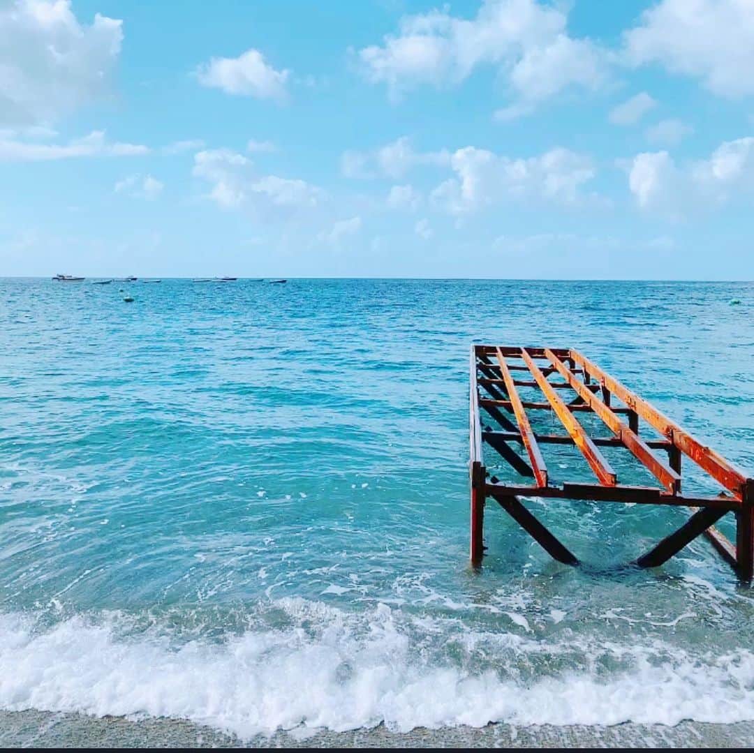 Dog's Life PANNAのインスタグラム：「海辺のホテルで本を読みながらコロコロしたり街をのんびり散策したり…波の音と地中海の潮風が気持ち良い休日でした♡  おとぼけオシャレで相変わらず陽気なこの国がやっぱり大好きです🇮🇹😘 . #gw #イタリア #令和最初の旅 #青の洞窟 #エメラルドの洞窟 #カプリ島 #洞窟探検 は #またすぐね🚤 #地中海 #アマルフィ #ポジターノ #サレルノ #街ごと世界遺産 #🏖 #🍋 #🍕 #🍝 #🍦 #🍷 #🇮🇹 #italy #trip #amalfy #positano #salerno #capli #instagood #instatravel」