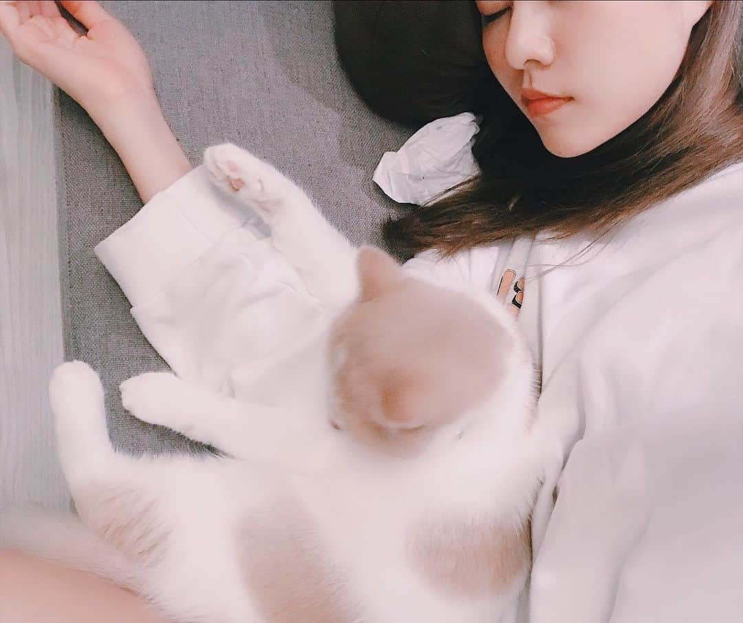 阿部マリアさんのインスタグラム写真 - (阿部マリアInstagram)「Good night 💋🍒 #catstagram #みるくたん🐈  #AKB48TeamTP #TTP性感女神」5月9日 0時34分 - _abedesu