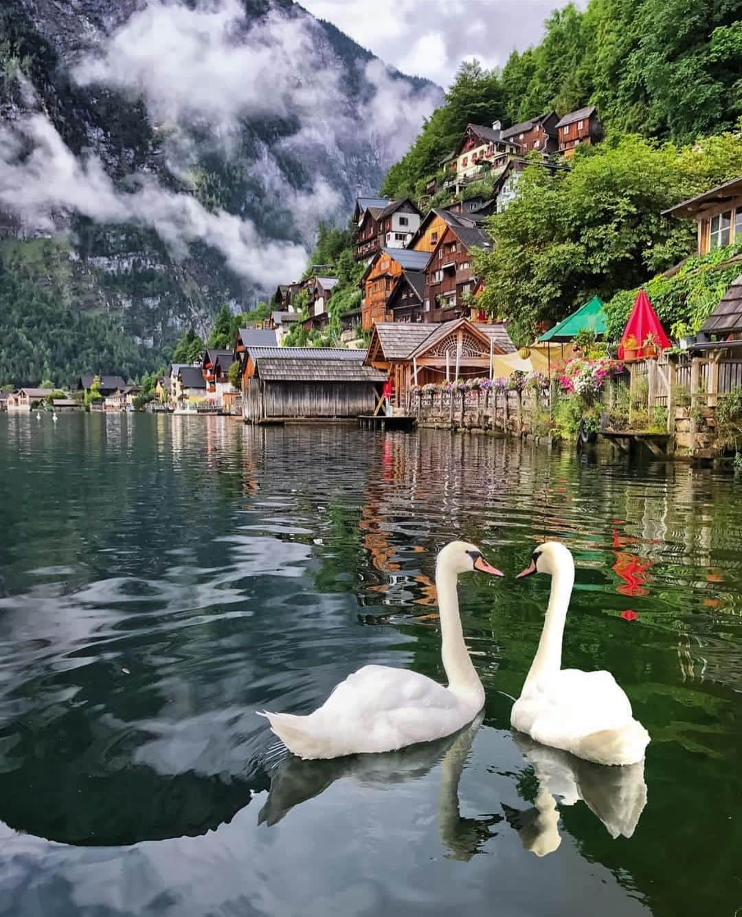 Wonderful Placesさんのインスタグラム写真 - (Wonderful PlacesInstagram)「Hallstatt - Austria ❤️❤️❤️ . Pictures by ✨✨@darwinphotography✨✨ #wonderful_places for a feature ❤️」5月9日 0時28分 - wonderful_places