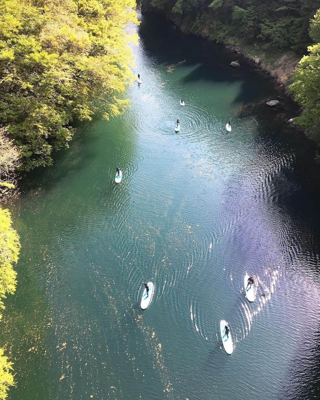 日下裕江さんのインスタグラム写真 - (日下裕江Instagram)「Supの聖地？  ってくらいサップしてる人が沢山いた〜✩︎⡱ みんなボードの上で仰向けで寝てたり、ゆったり漕いで気持ち良さそうだった✨  1度やってみたいな〜❀.*･ﾟ  #sup #サップ #川サップ #気持ち良さそう #白丸湖 #多摩川 #鳩ノ巣渓谷」5月9日 1時51分 - hiroe___h