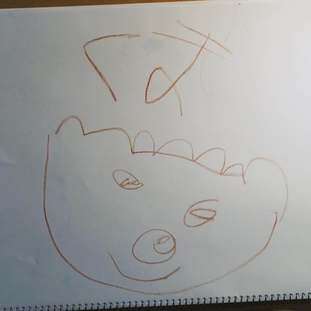 龍円愛梨さんのインスタグラム写真 - (龍円愛梨Instagram)「I like Nico’s drawings:) 最近、夢中になって絵を描いてる姿をよくみかけます。ニコの絵が、なんか可愛らしくみえるのは親バカなんだろうなぁ。  #お絵描き #ダウン症 #スペシャルニーズ #6歳 #シングルマザー #childdrawing #downsyndrome #specialneeds #lovedrawing」5月9日 2時03分 - airi_ryuen