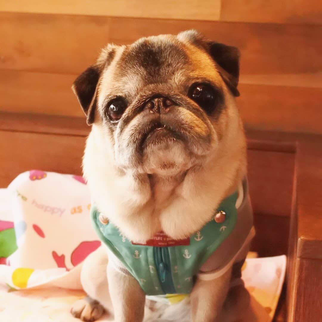 八兵衛のグルメインスタ