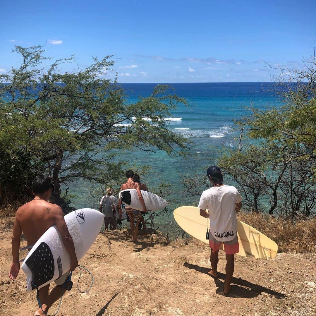 田中律子さんのインスタグラム写真 - (田中律子Instagram)「ヨガフェスタハワイ🧘‍♂️ ハワイに来ましたーー🌴🌞🏄‍♀️ 最高なお天気です🌞 ヨガフェスタハワイ参加するみなさま、お会い出来るの楽しみにしてまーす❤️ #yogafesthawaii  #hawaii  #yogalife  #beachlife」5月9日 7時39分 - ri2kotanaka