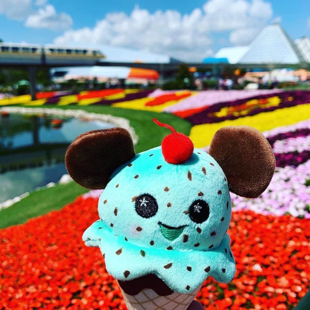 Walt Disney Worldのインスタグラム：「Happy #WishablesWednesday! 🥰🍦#DisneyParksWishables #DisneyParksWishablesWednesday (📷: @j_dubbs90)」