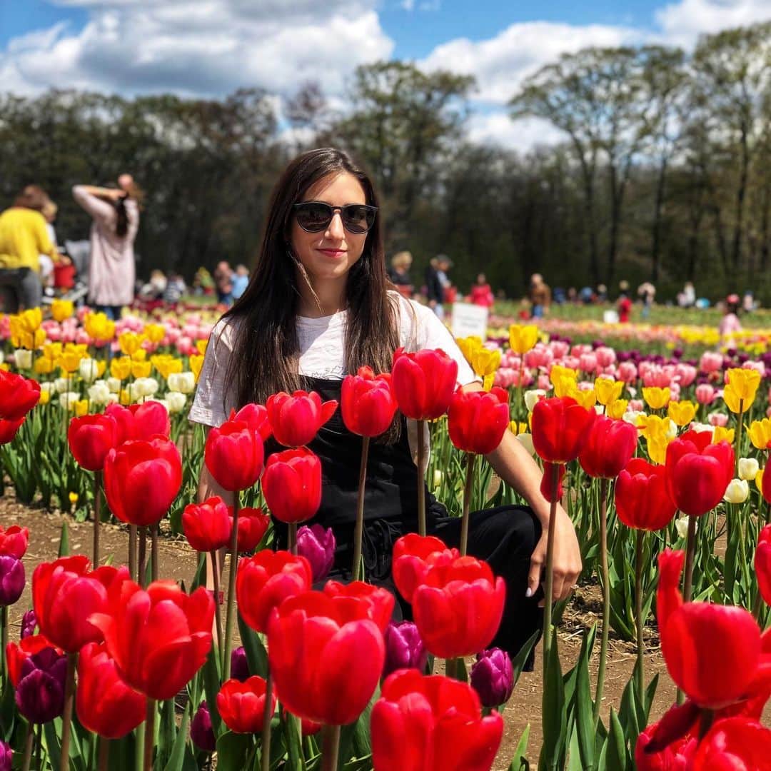 マリッサ・キャステリのインスタグラム：「Tulip season 🌷 . . . . .#tulips #wickedtulips #wickedtulipfarm」