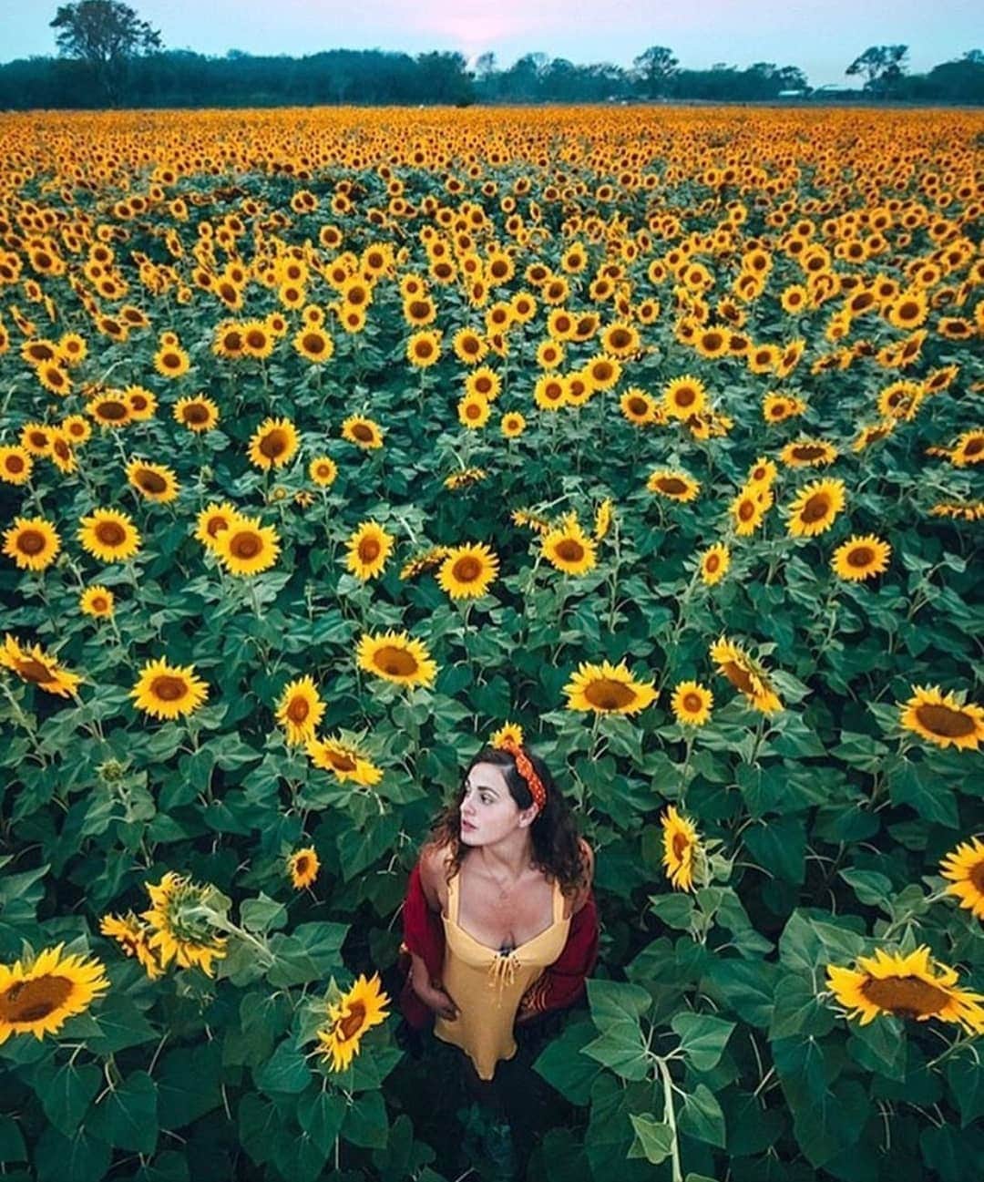 Instagramersのインスタグラム