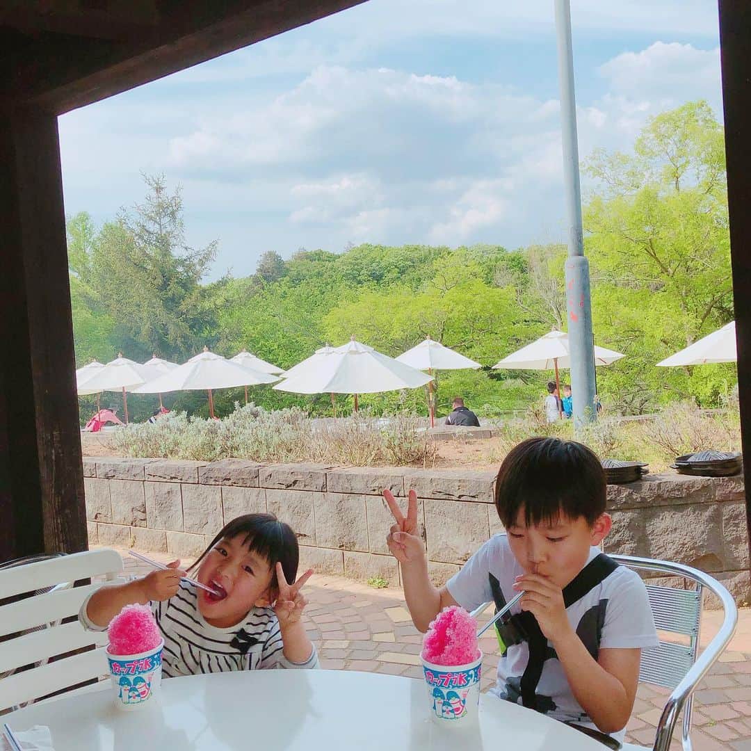 山内智恵のグルメインスタ