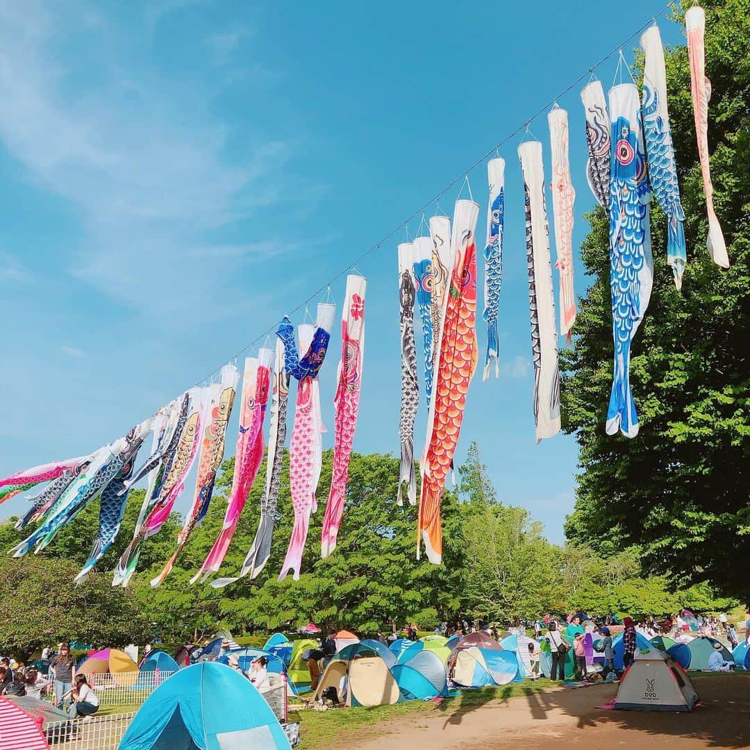 山内智恵のグルメインスタ