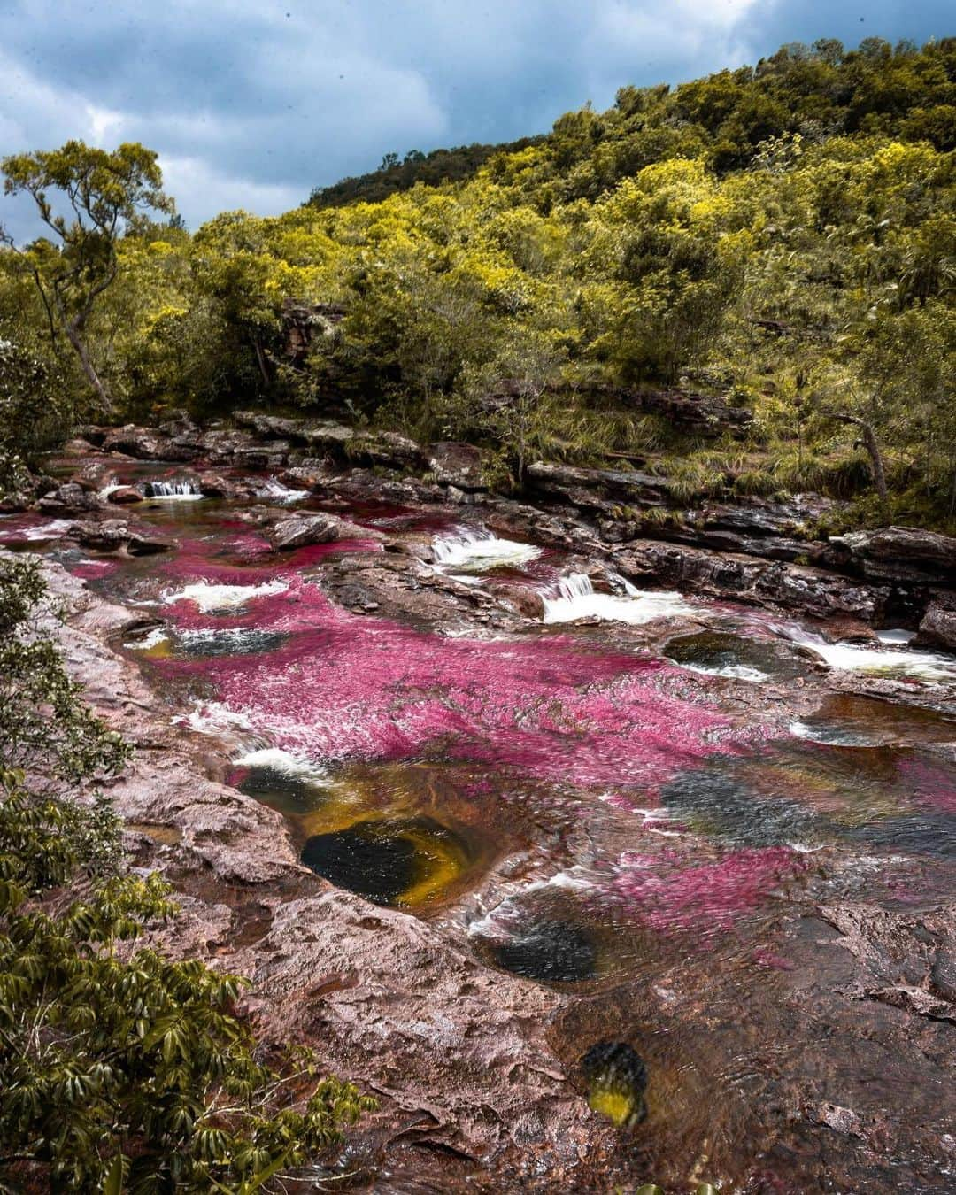 Wonderful Placesさんのインスタグラム写真 - (Wonderful PlacesInstagram)「How amazing is the rainbow river of ✨✨@experiencecolombia✨✨ .  The river is made up of different color algae and rock minerals! Be sure to give them a follow. Tag your friends!!! #experiencecolombia 📸 : @hiltondavila」5月9日 4時37分 - wonderful_places