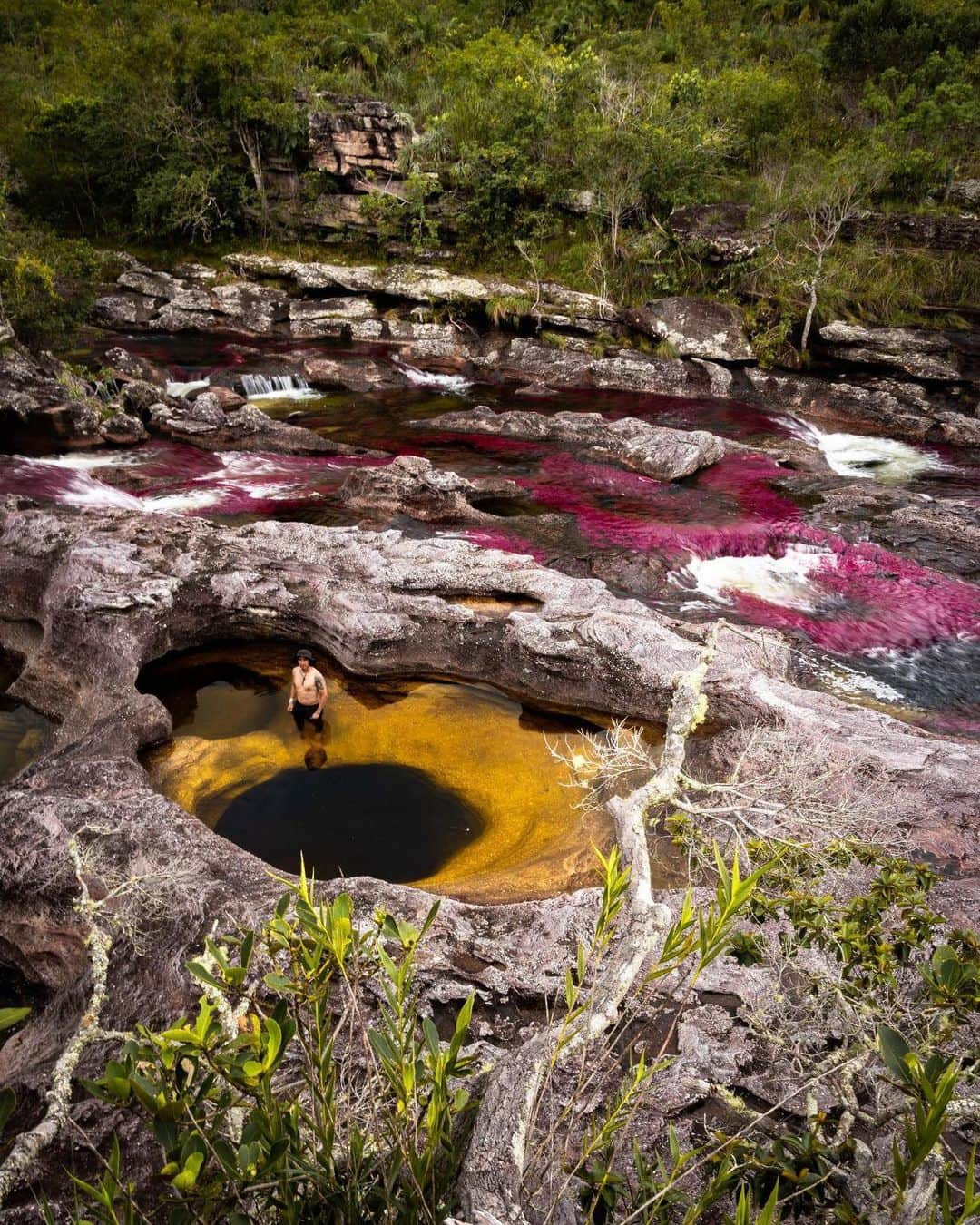 Wonderful Placesさんのインスタグラム写真 - (Wonderful PlacesInstagram)「How amazing is the rainbow river of ✨✨@experiencecolombia✨✨ .  The river is made up of different color algae and rock minerals! Be sure to give them a follow. Tag your friends!!! #experiencecolombia 📸 : @hiltondavila」5月9日 4時37分 - wonderful_places